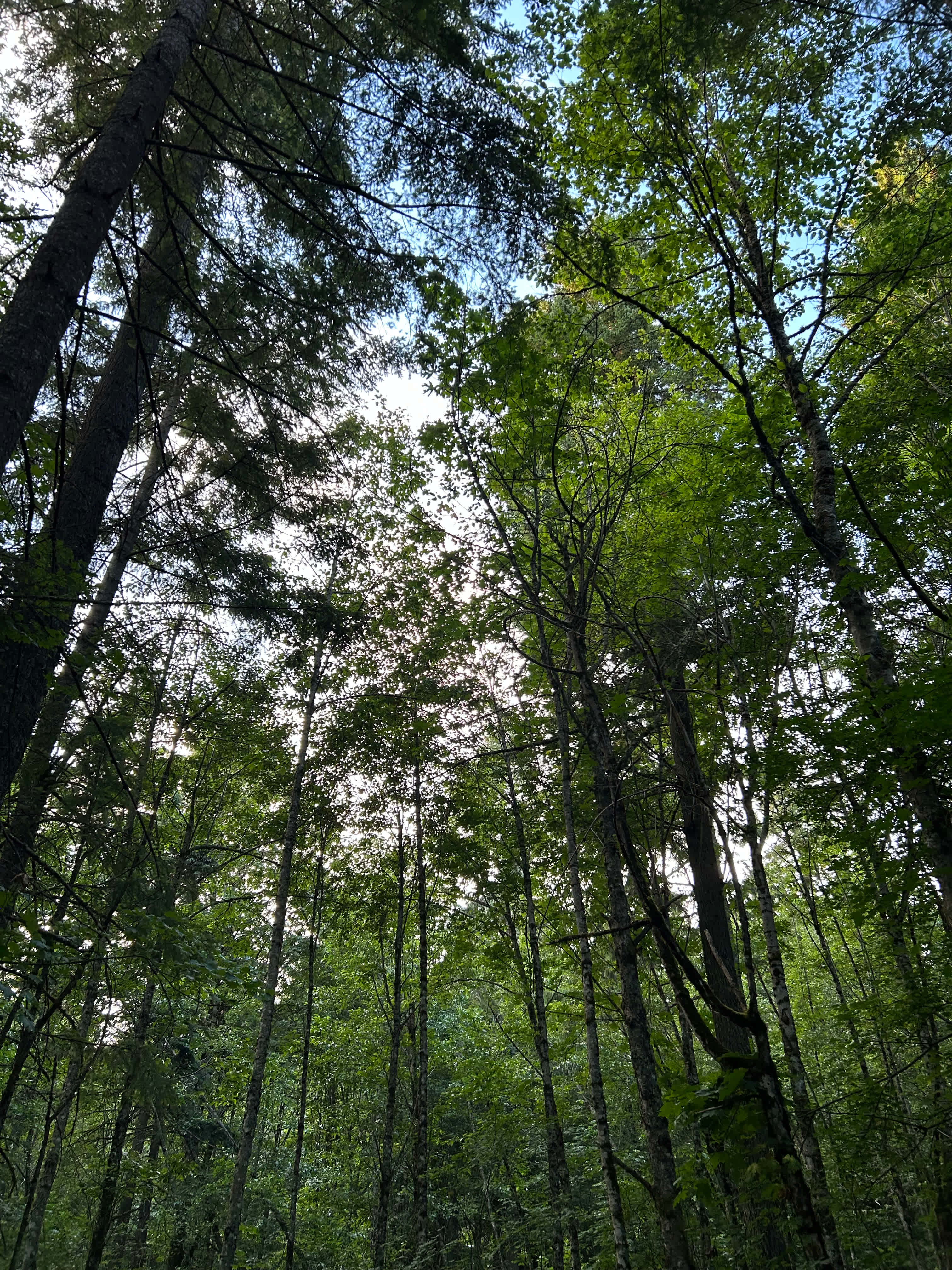 Timberlake Campground & RV Park