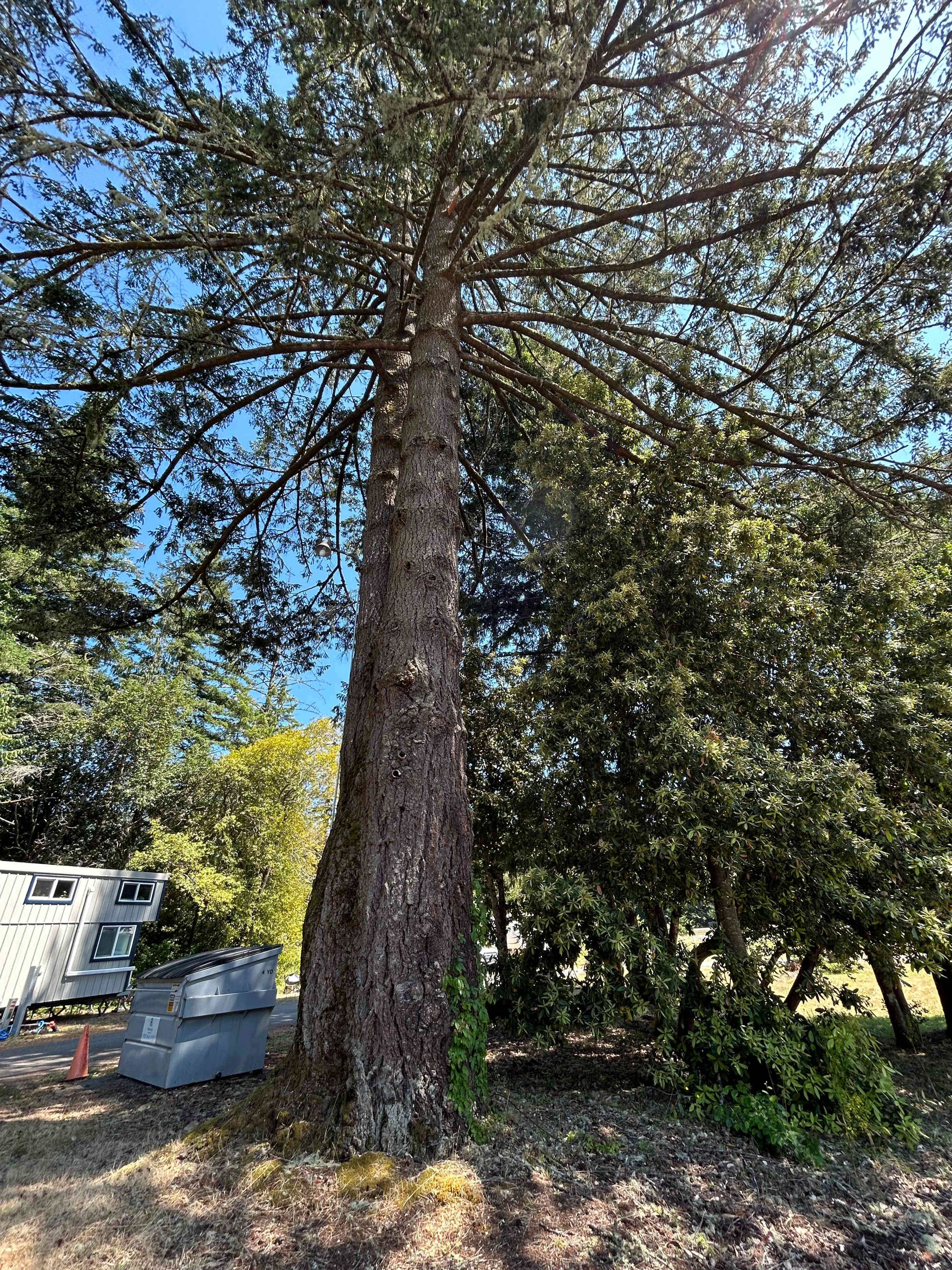 Redwood Meadows RV Resort