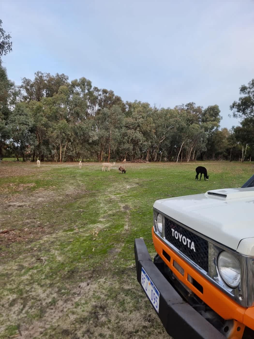 Herron Point Farm Stay