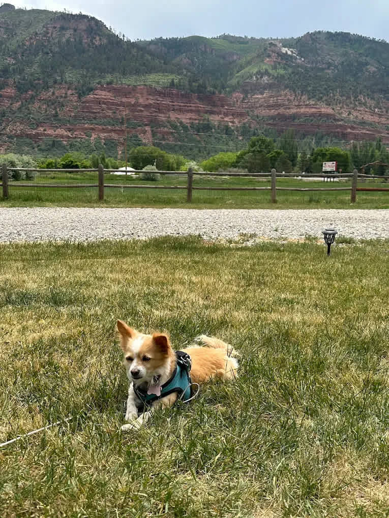 Alpen Rose RV Park