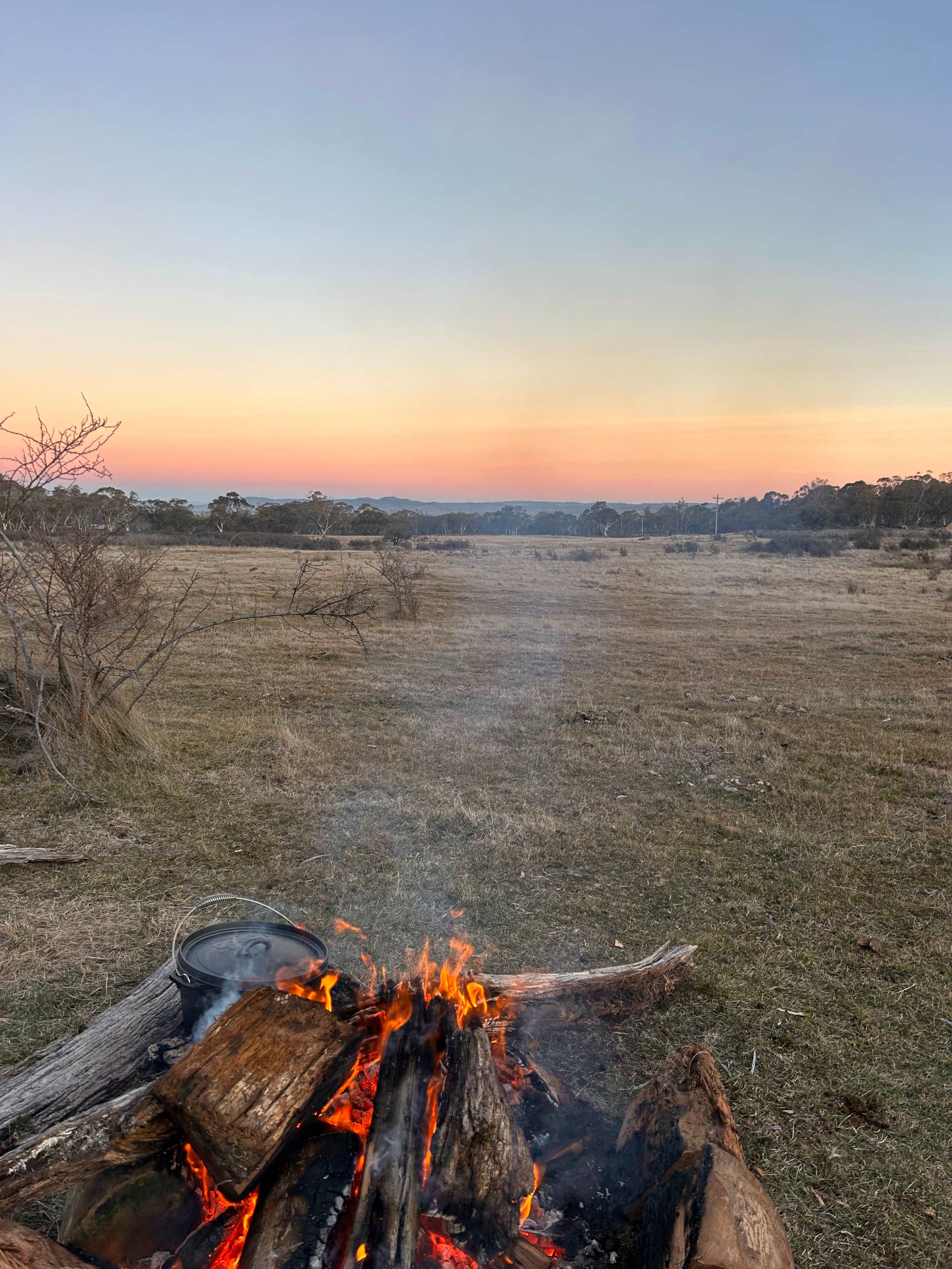 The camp oven cooking the goods