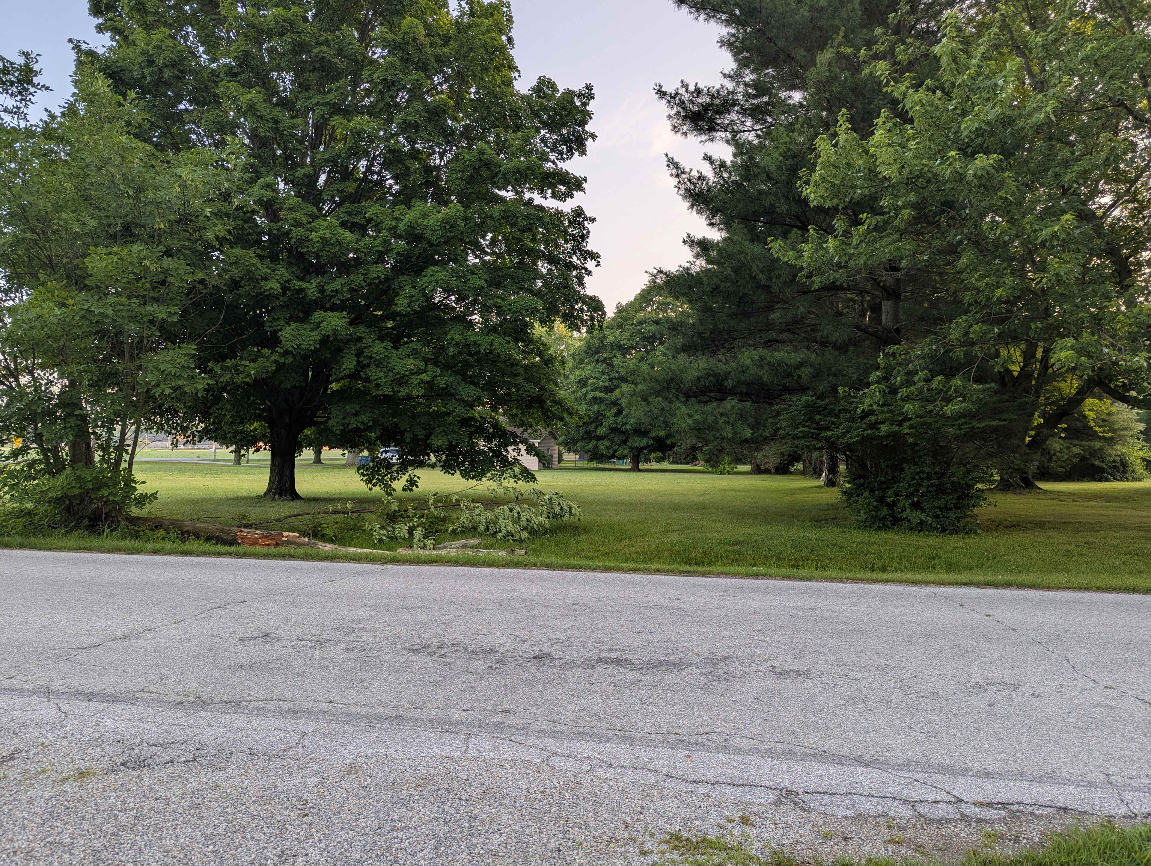 Photo of a grassy half lot across the street. There is no running water or electricity on this side of the street. We still welcome primitive campers here.
