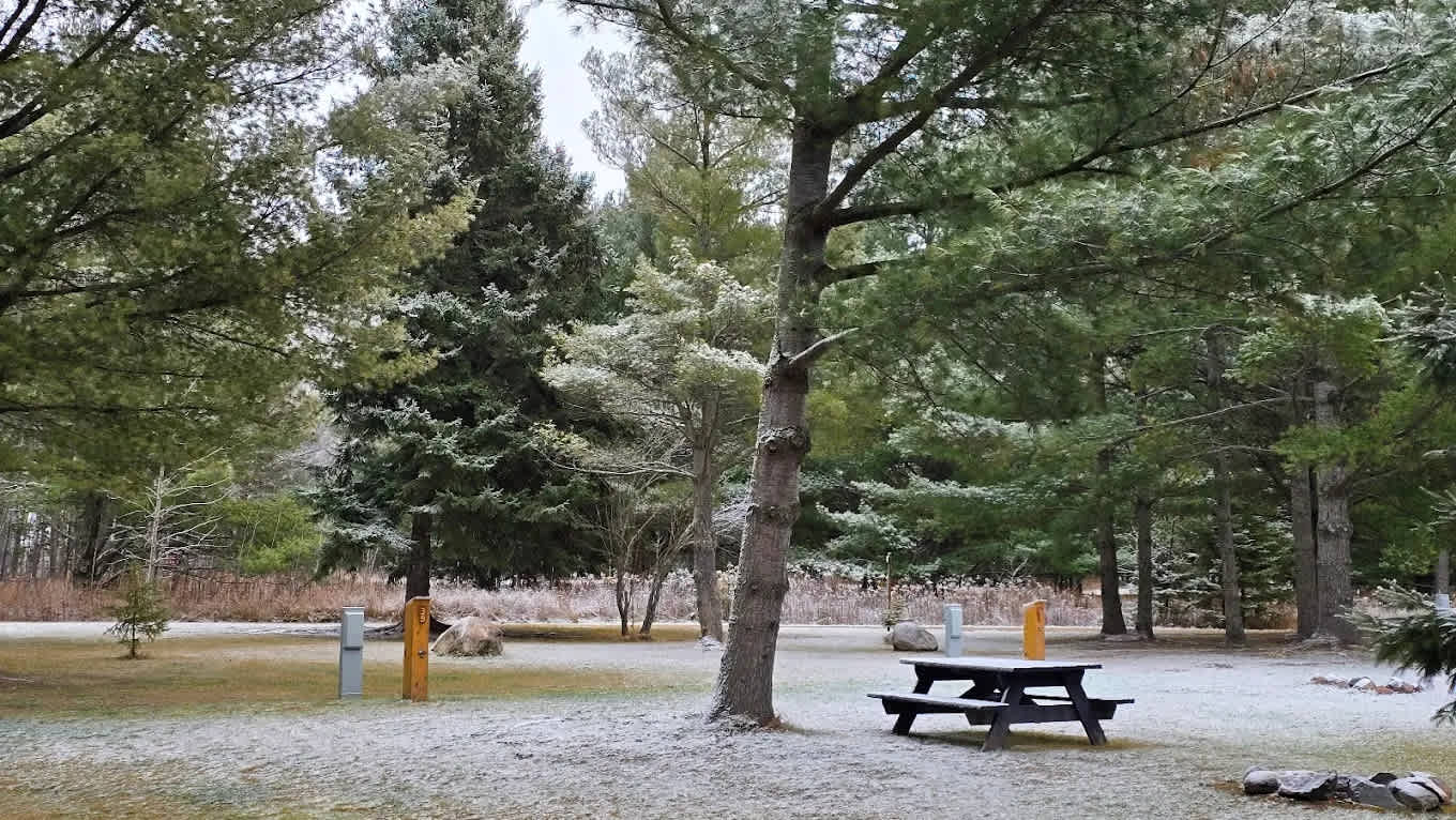 Remer Campground