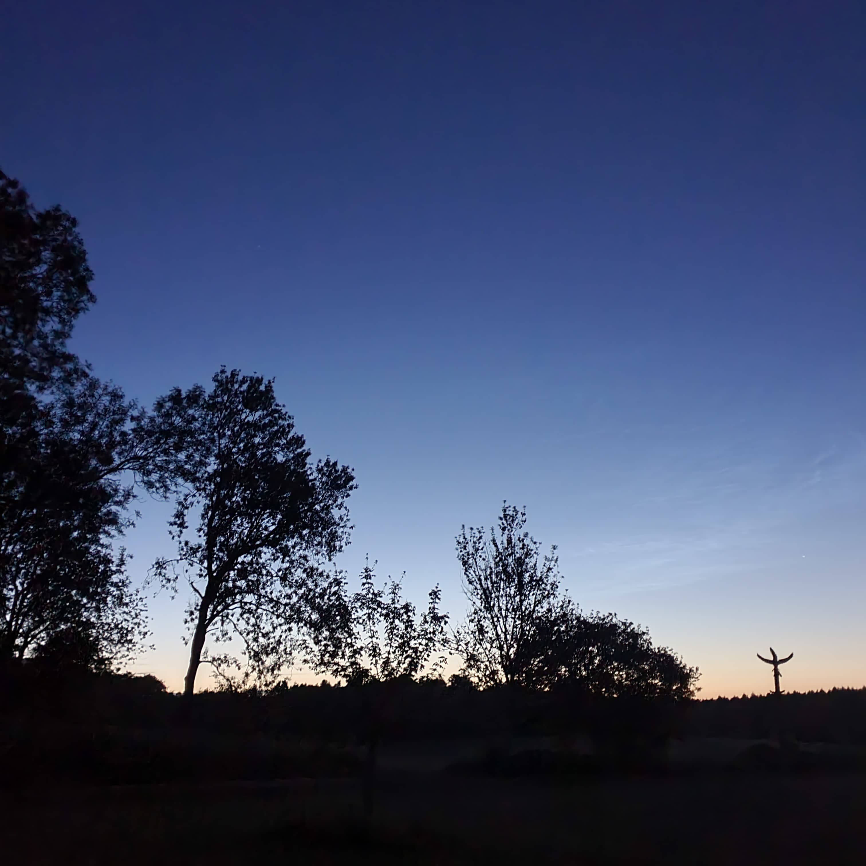 Abbey Home Farm