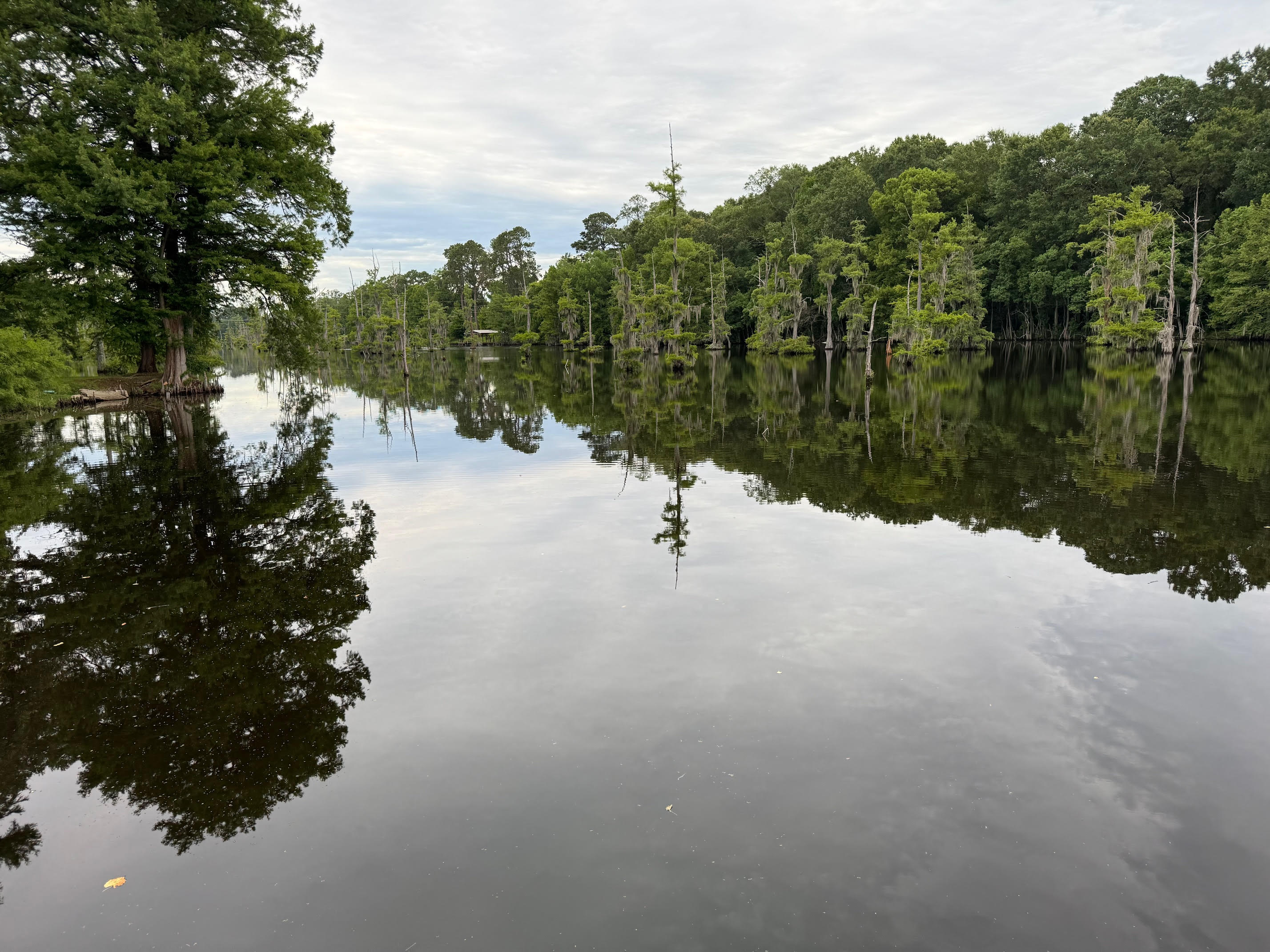 North Bayou Property
