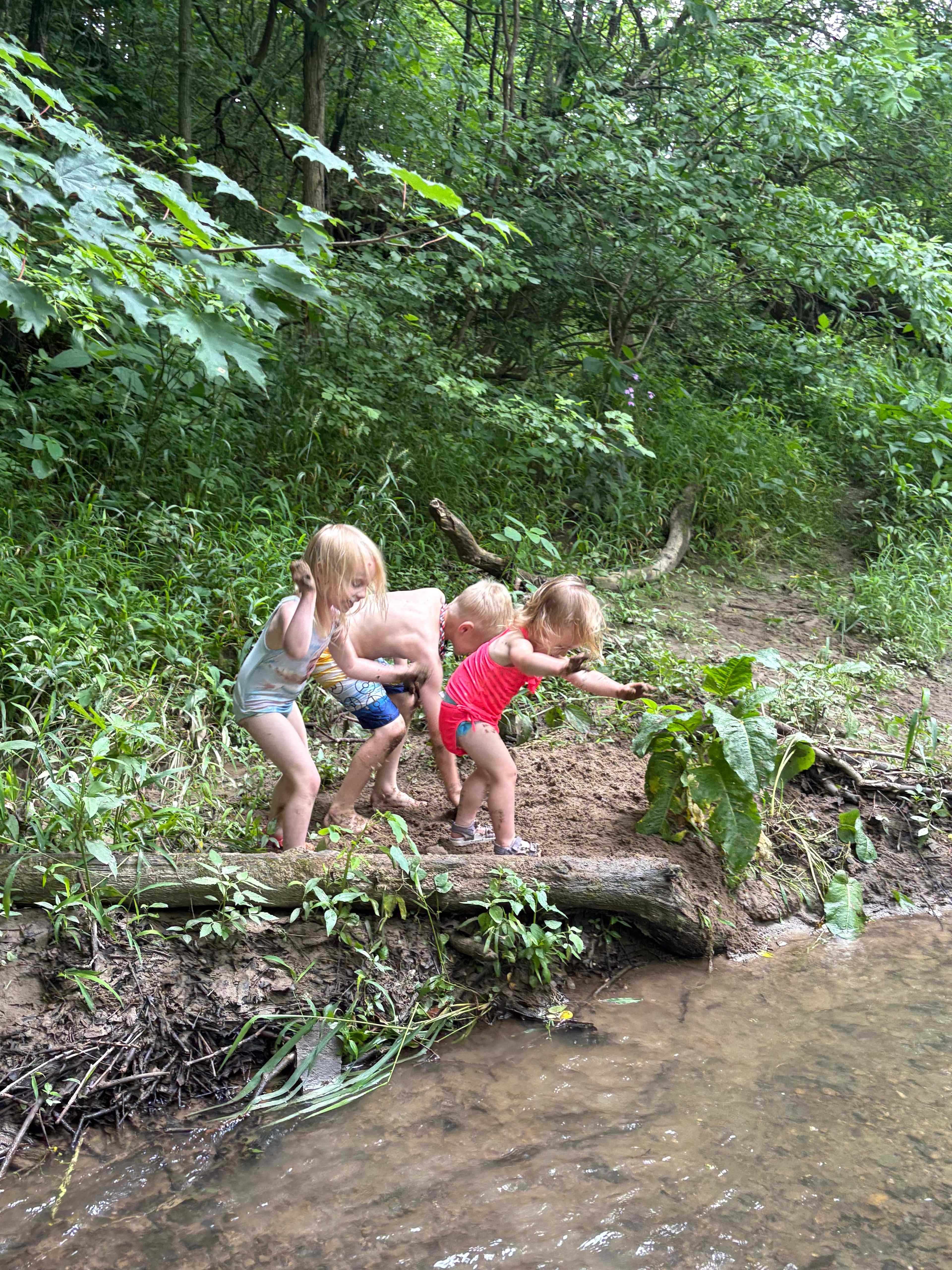 Cherokee Valley Bison Ranch Creekside Retreat
