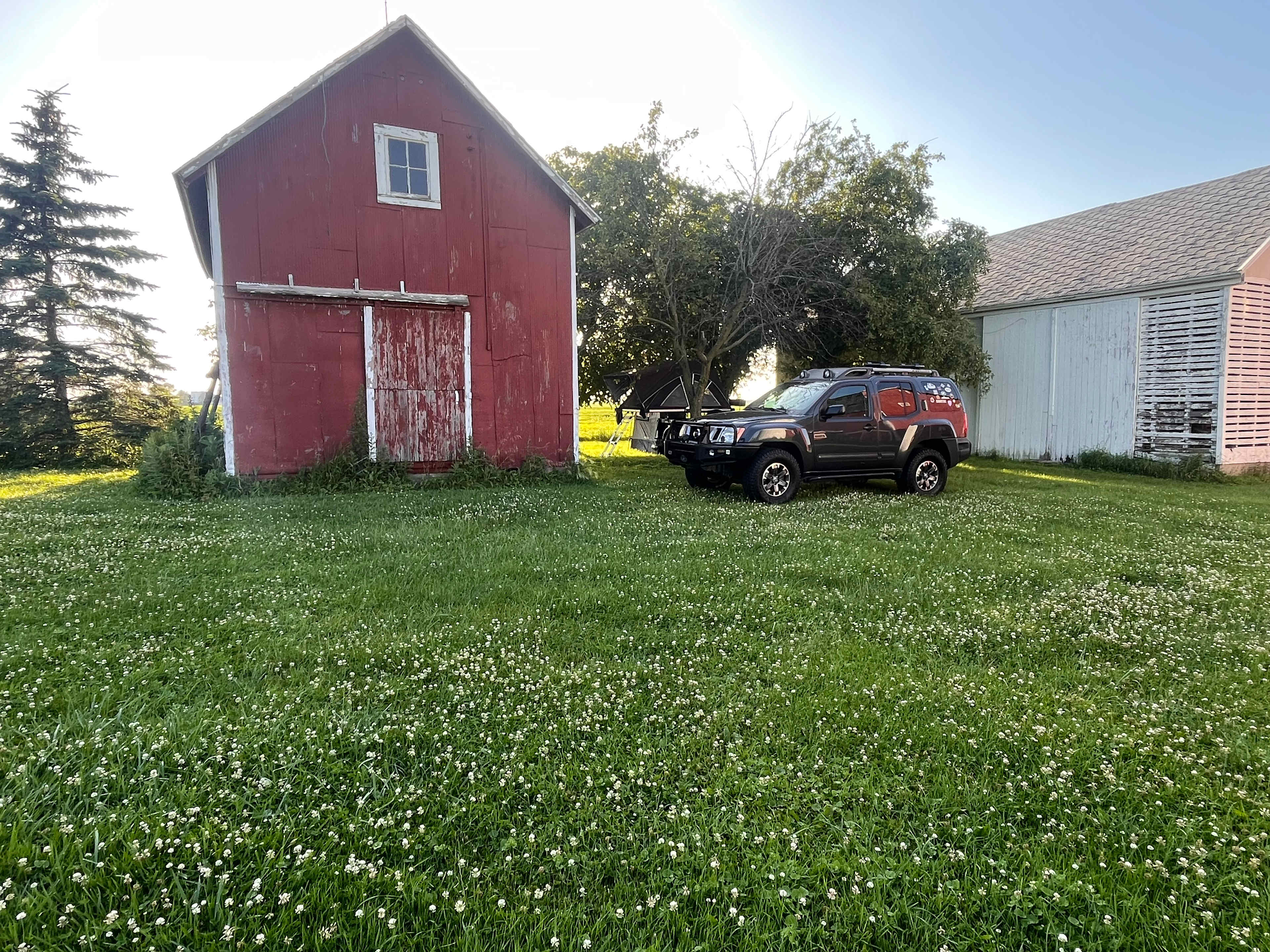flat spot in middle of fruit trees provided shade from summer sun
