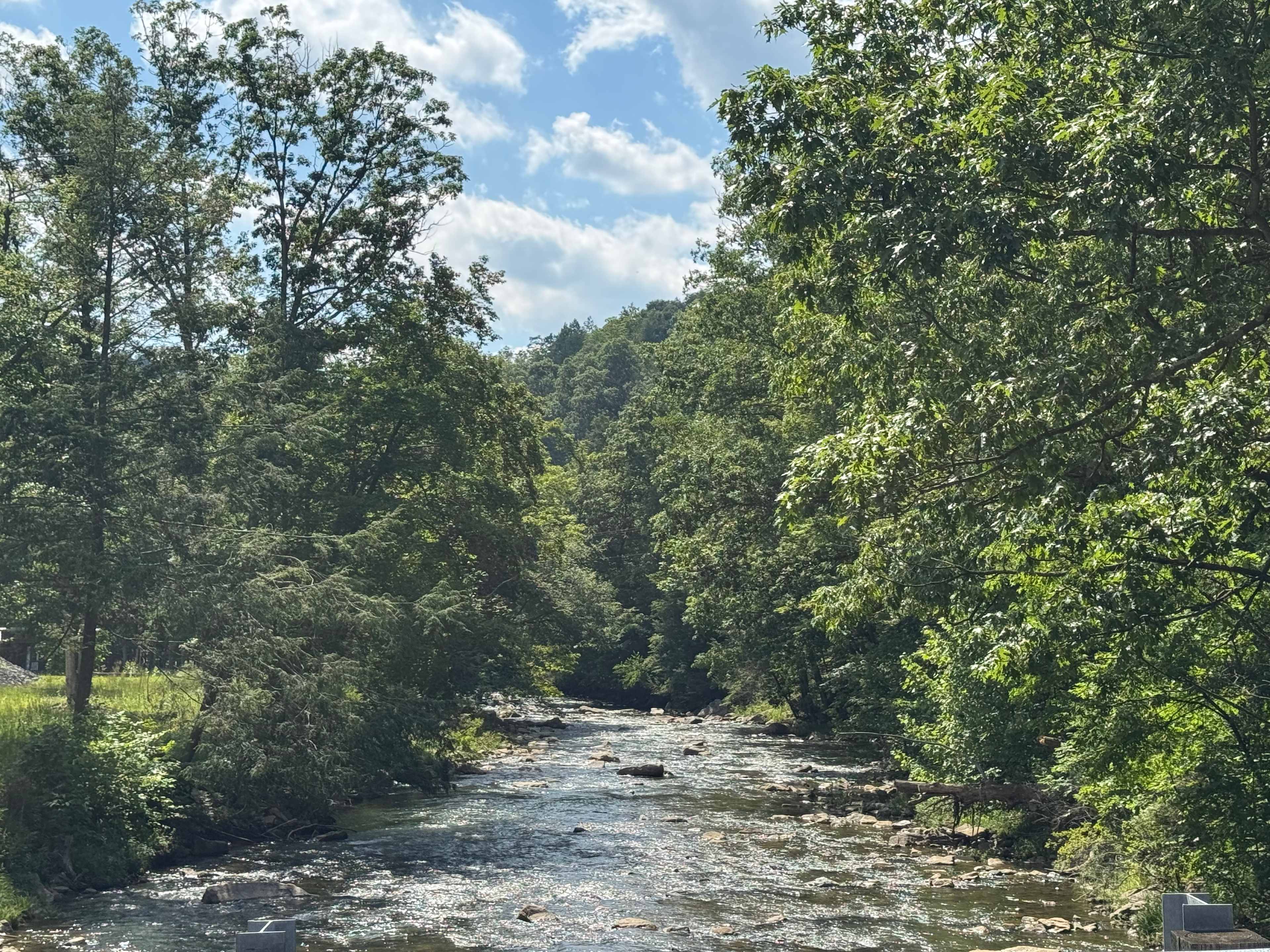 Abrams Creek Adventures (Site 1)