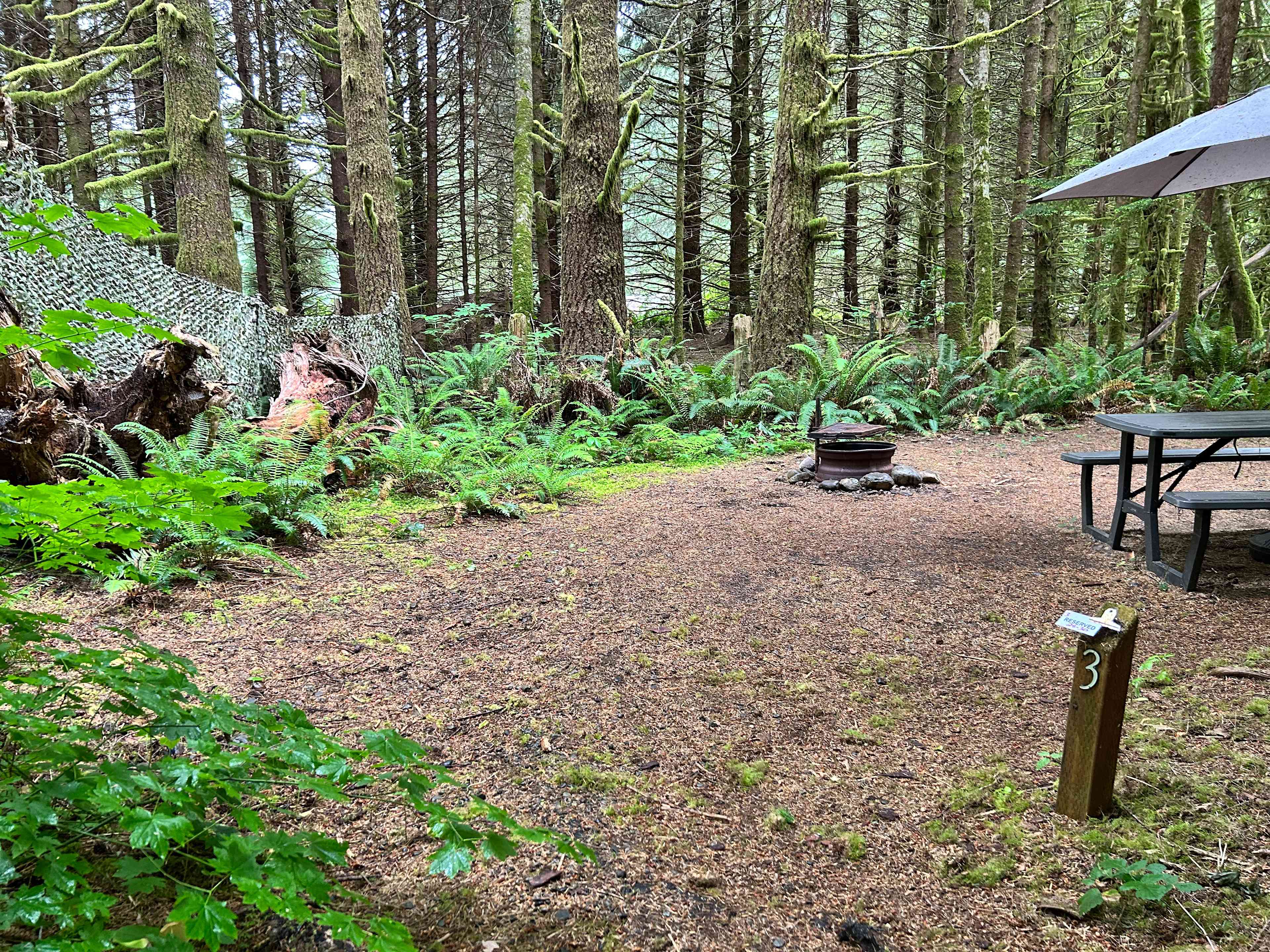 Dawleys SolDuc River Campground