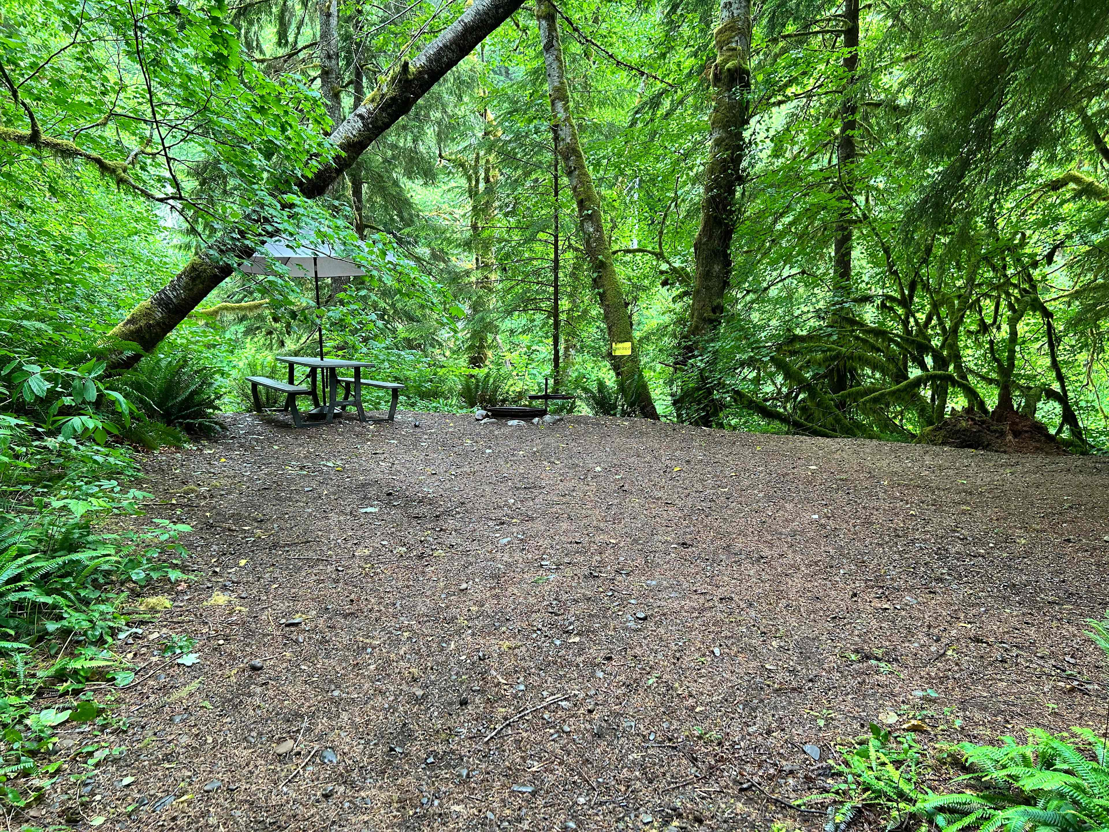 Dawleys SolDuc River Campground