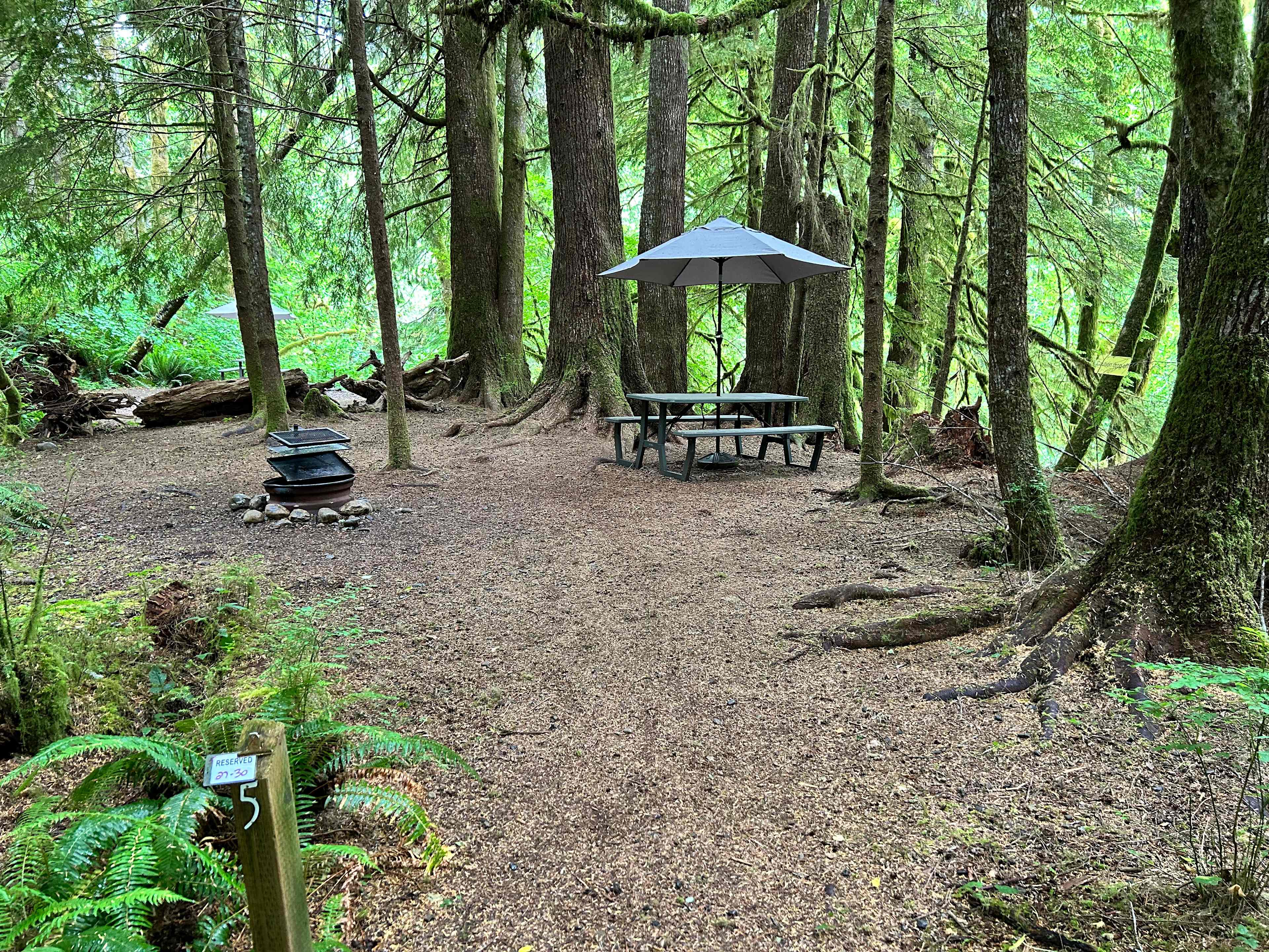 Dawleys SolDuc River Campground