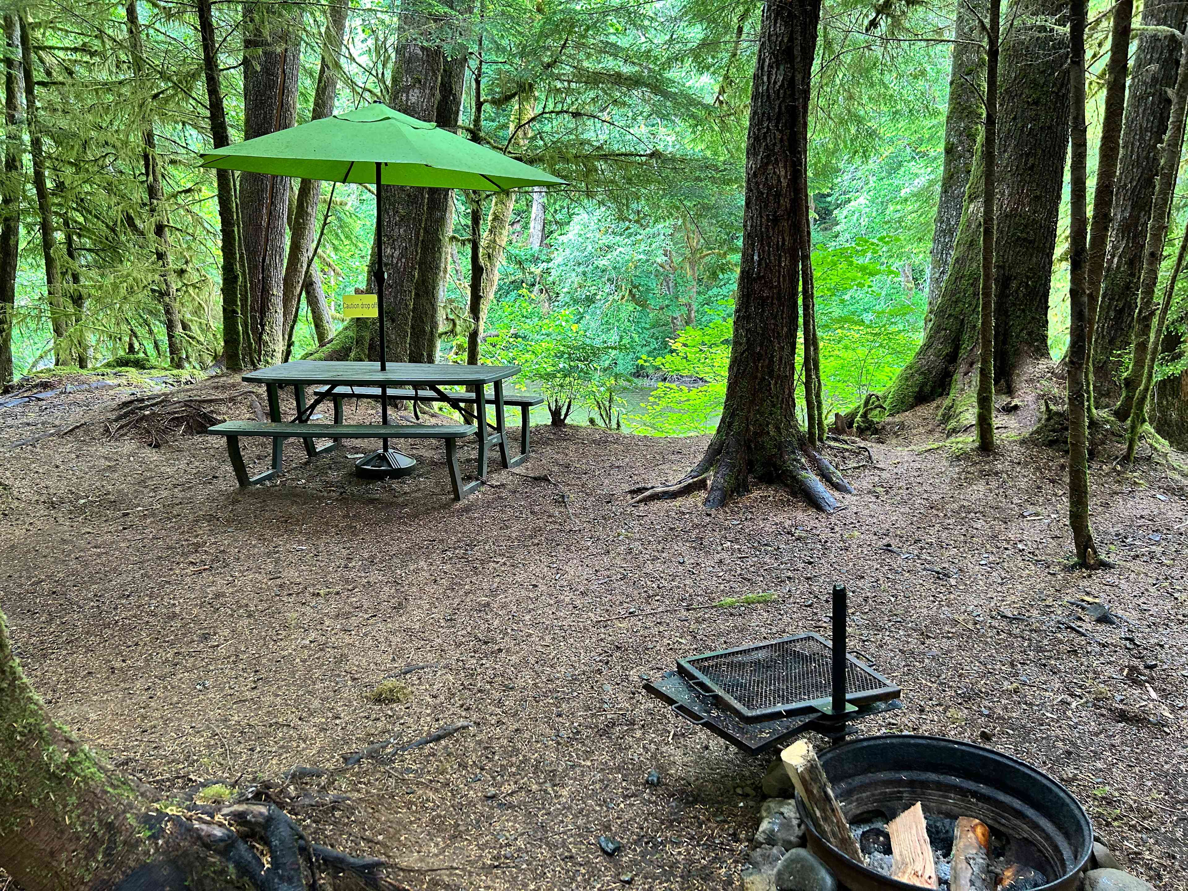 Dawleys SolDuc River Campground