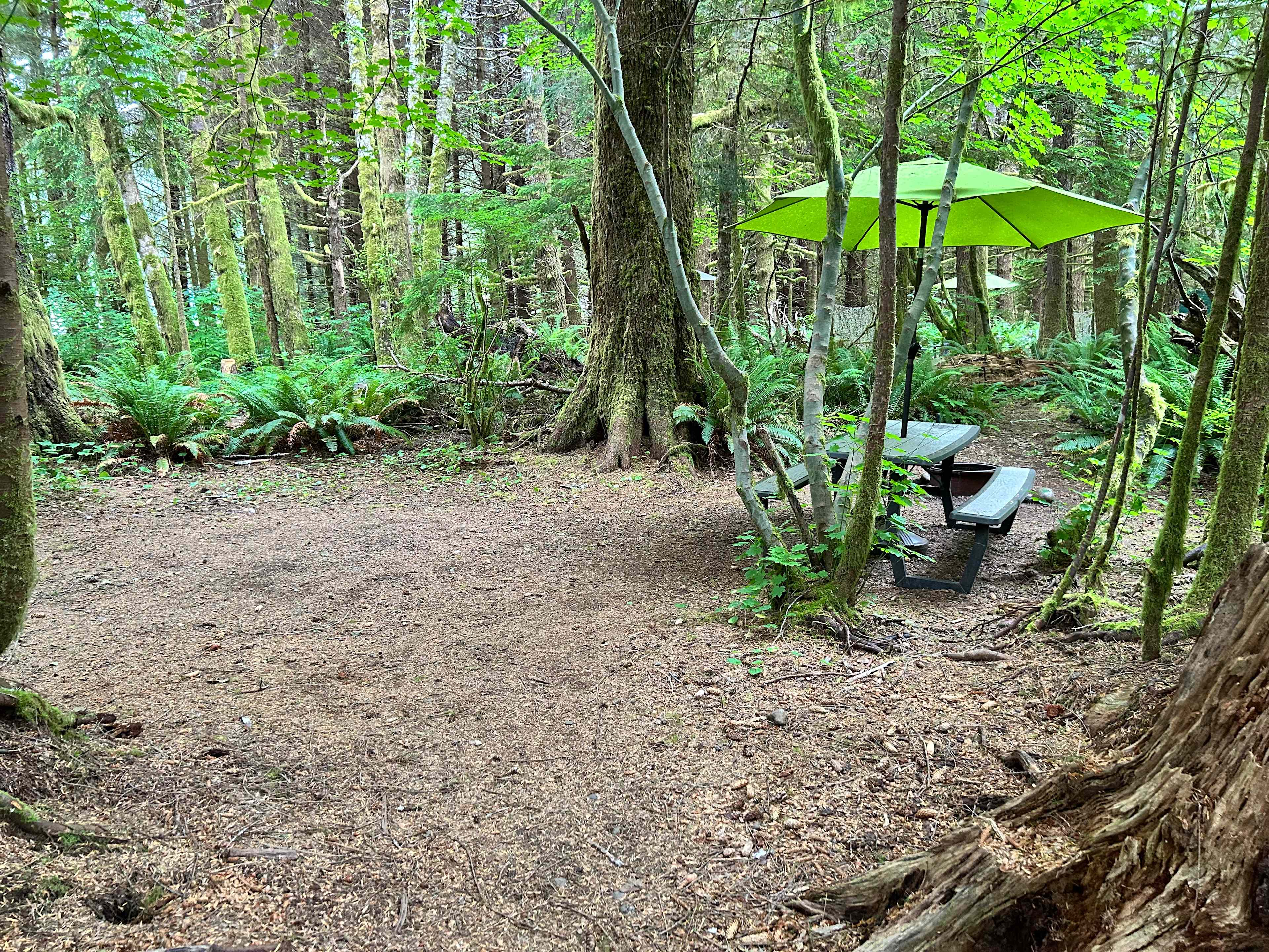 Dawleys SolDuc River Campground