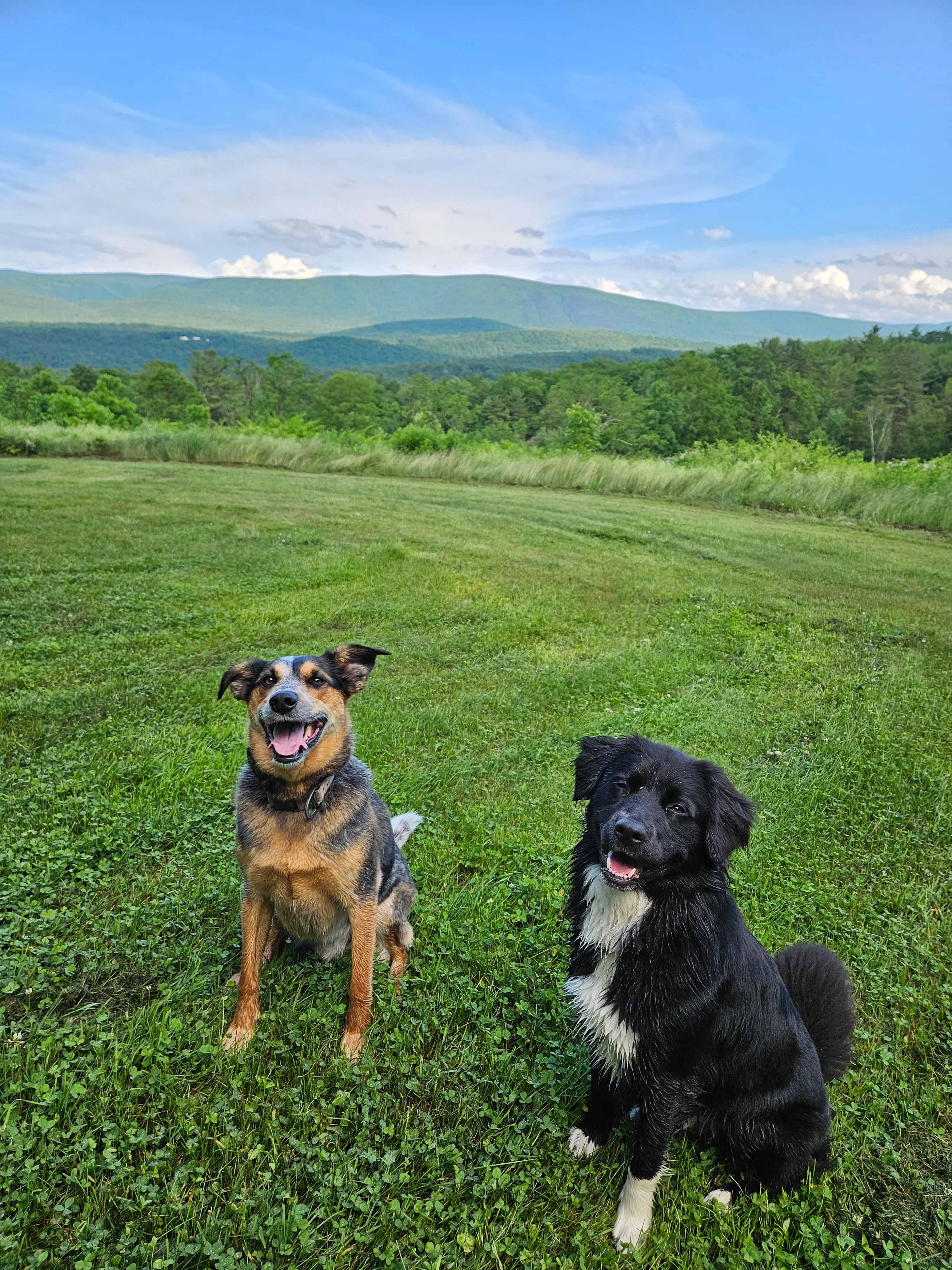 Timbertrail Farm