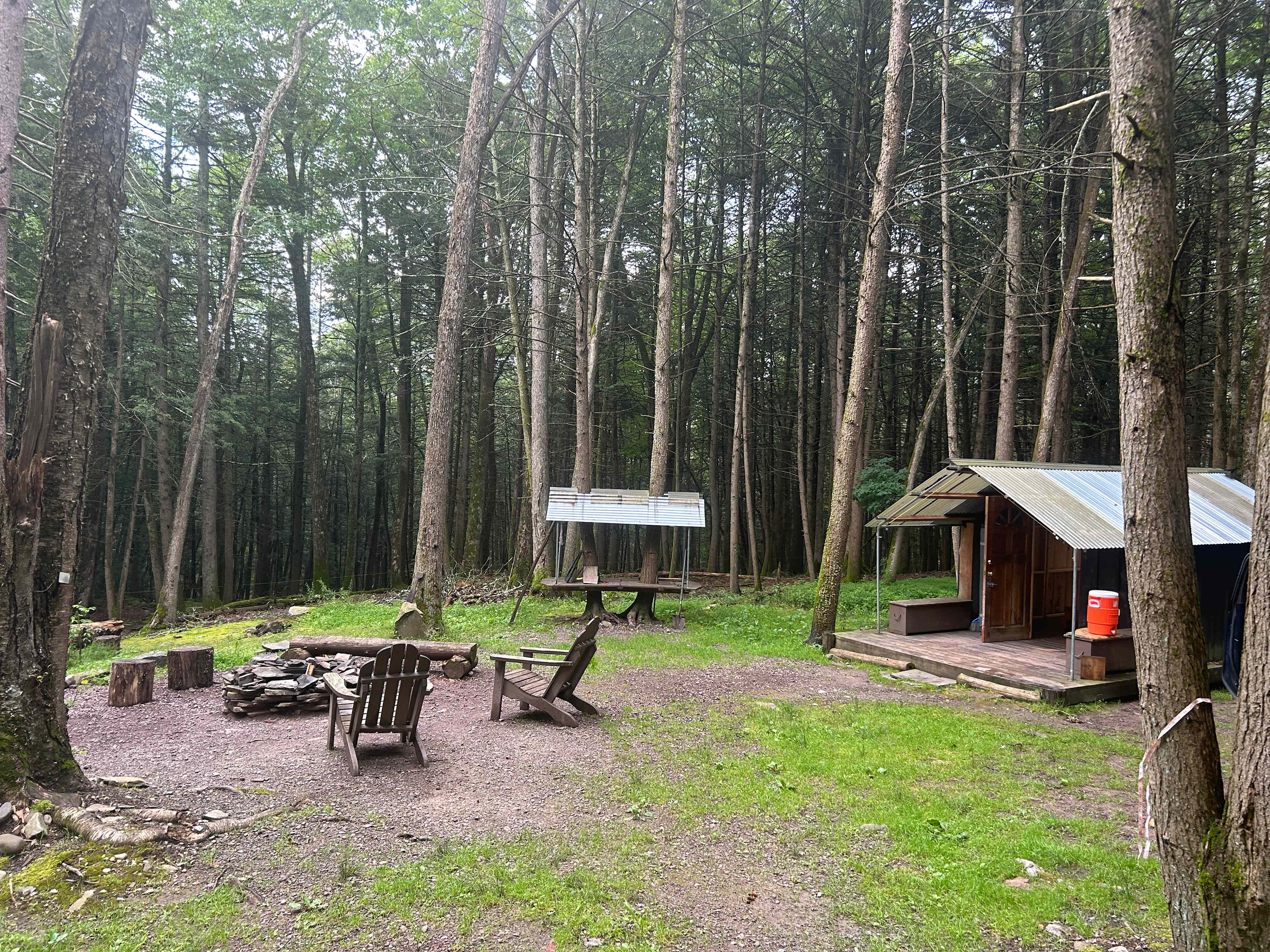 Clearing Farm