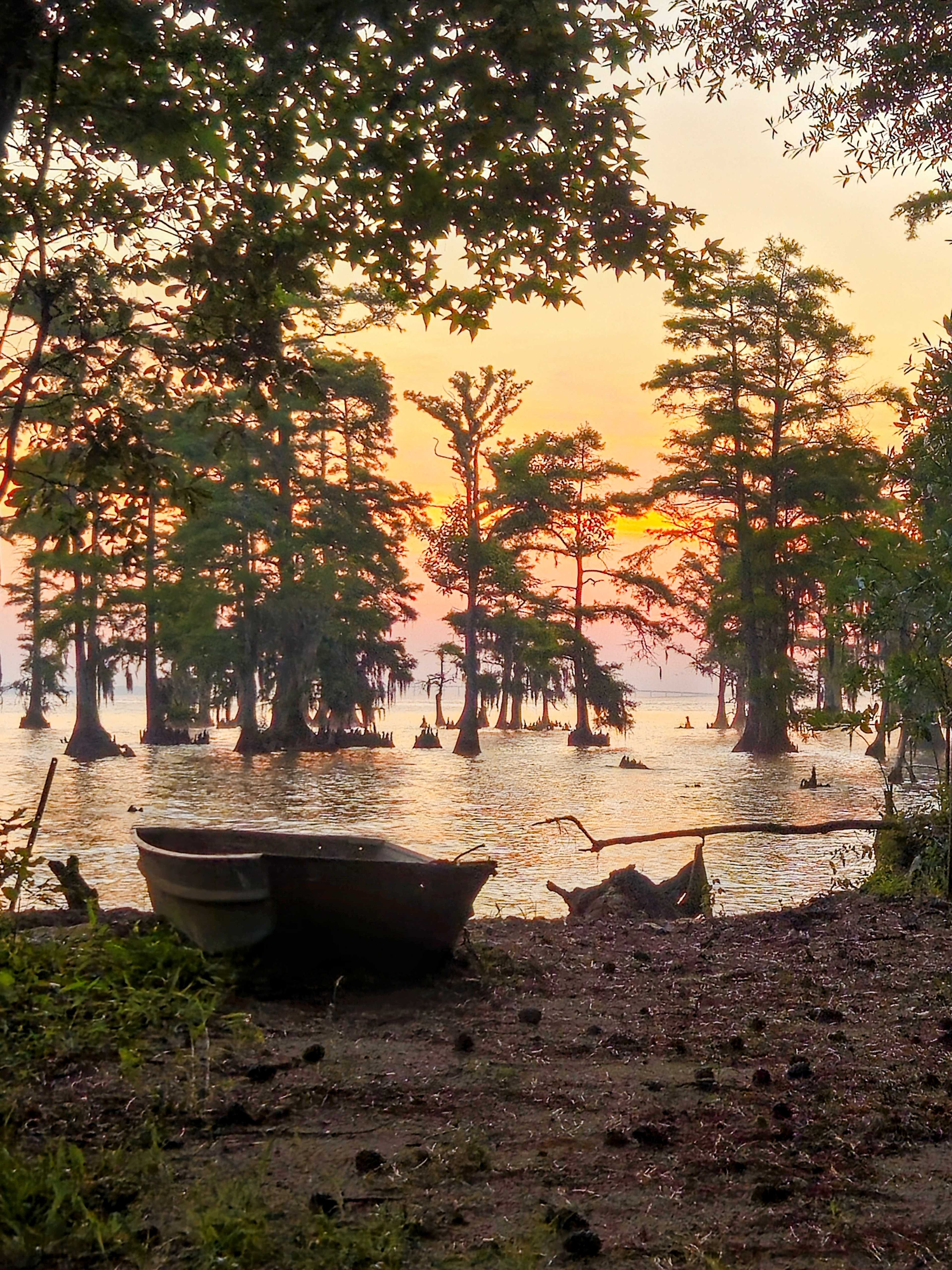Sunrise from the boat launch by site #1