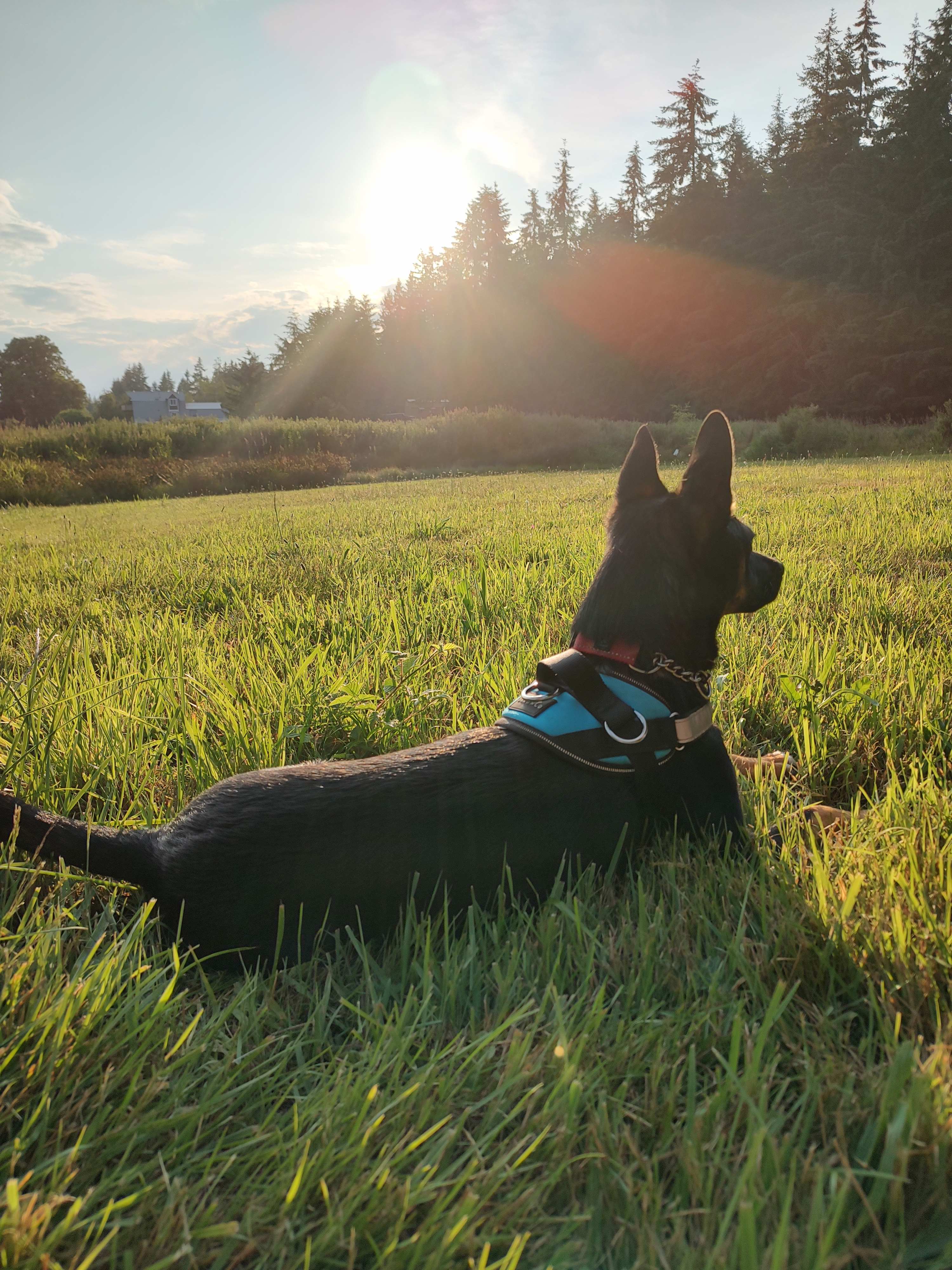 Poulsbo Hidden Creek Hideaway