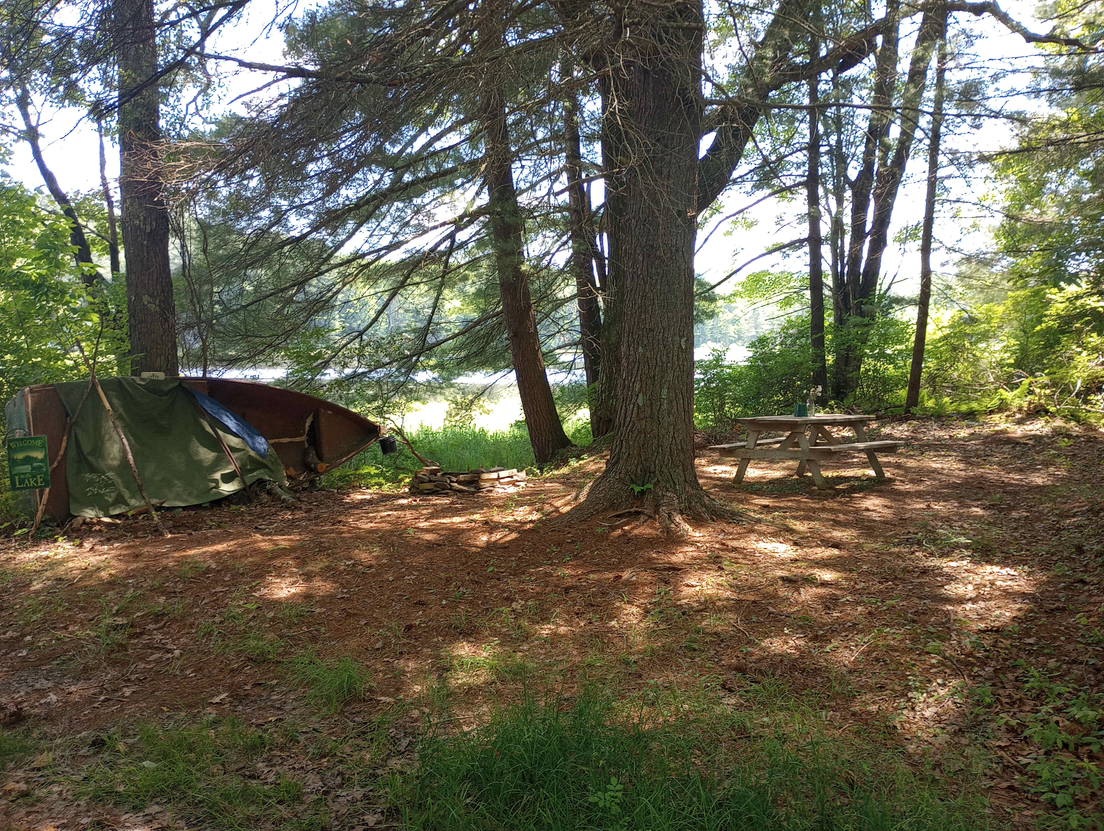 Beautiful campsite, there was even freshly cut flowers on the picnic table!!