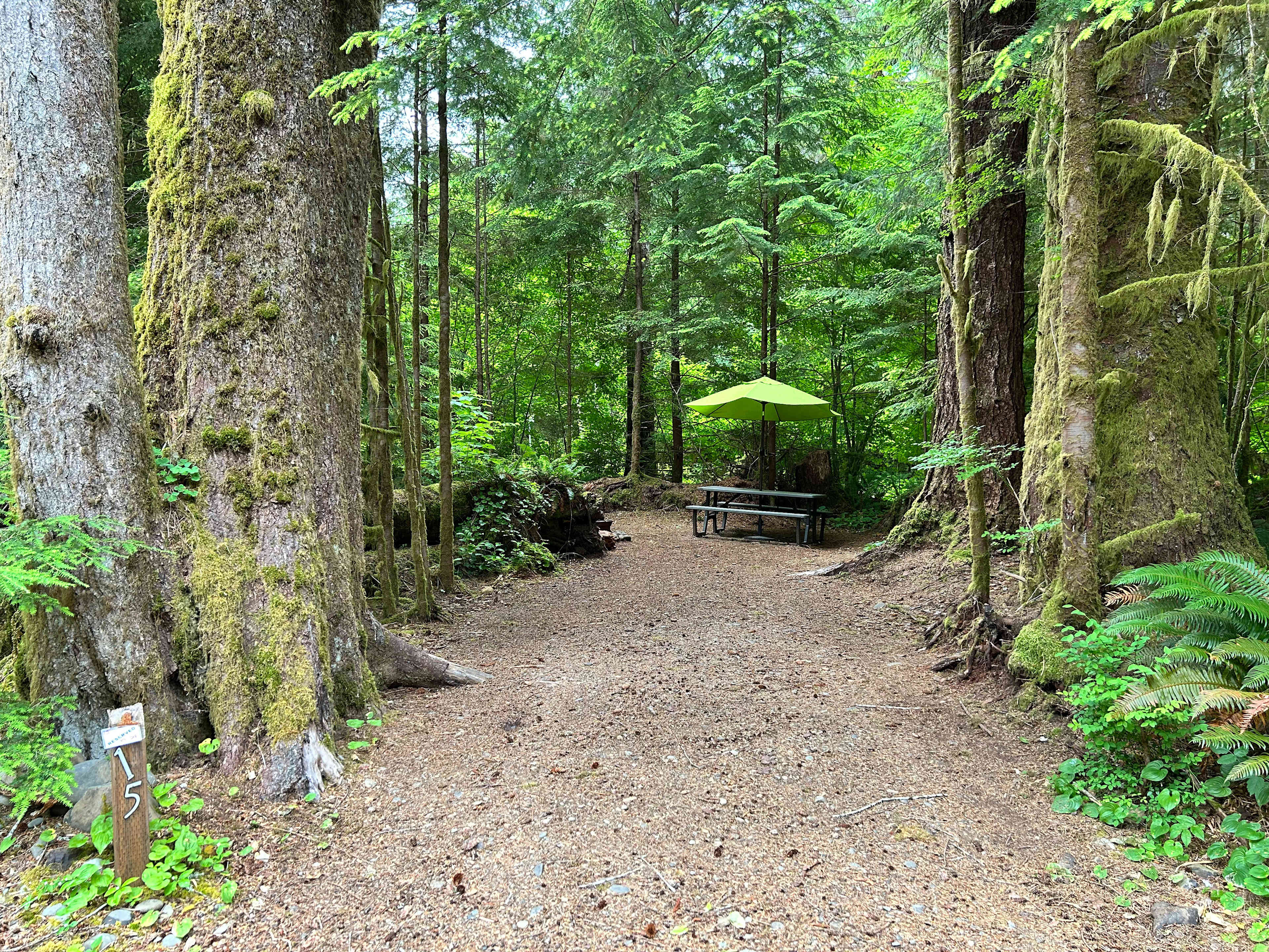 Dawleys SolDuc River Campground