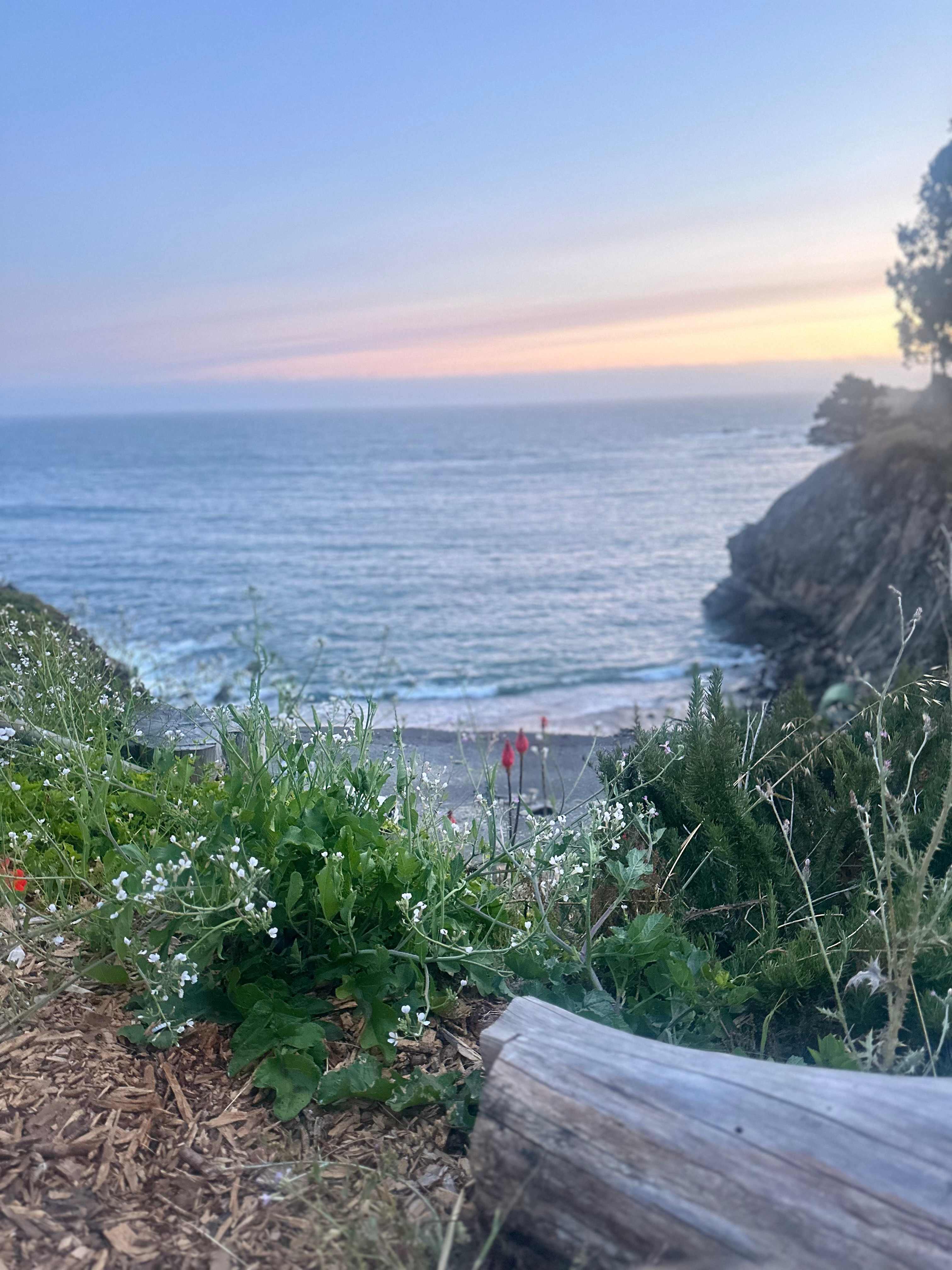 Timber Cove Campground