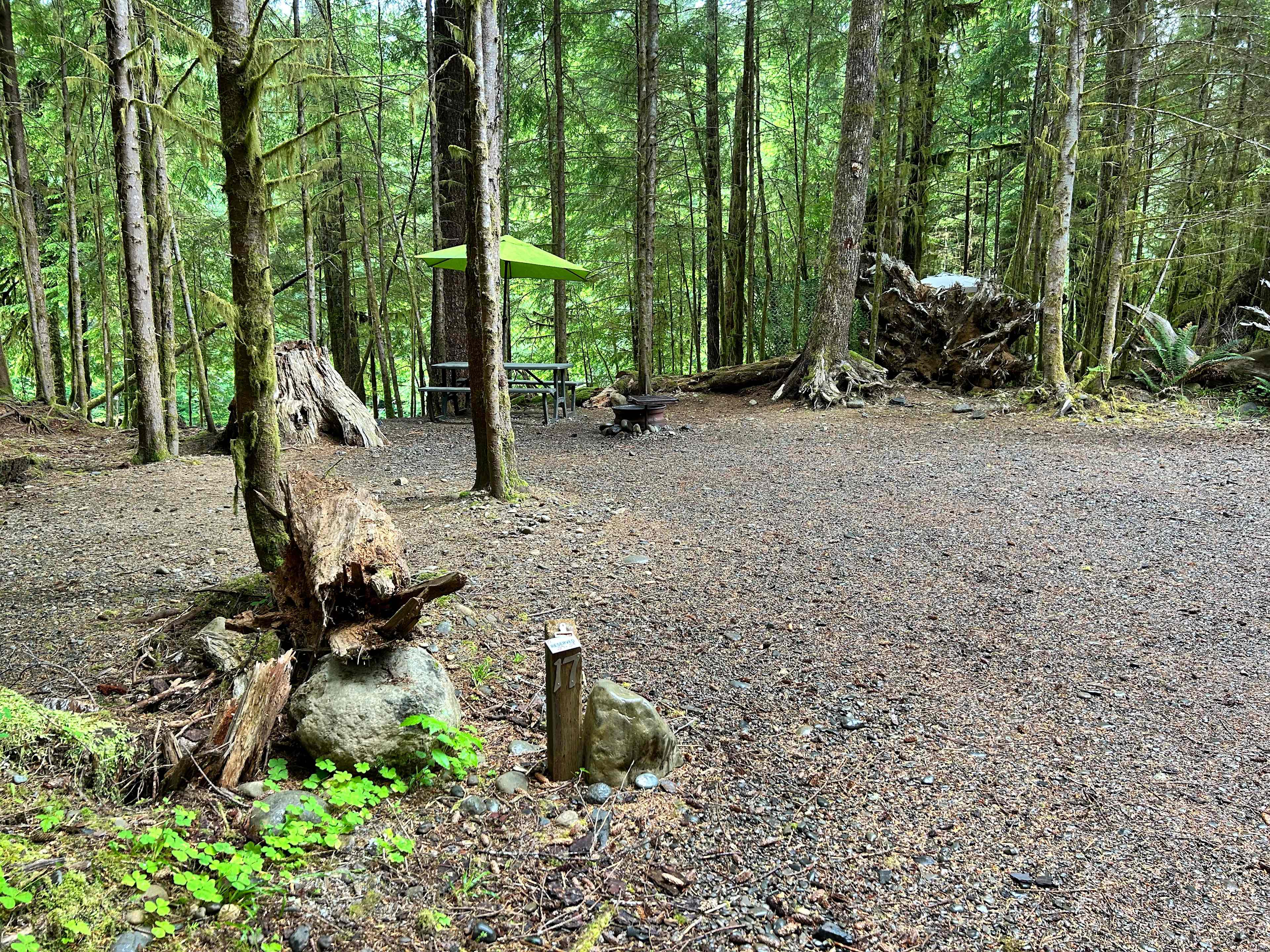 Dawleys SolDuc River Campground