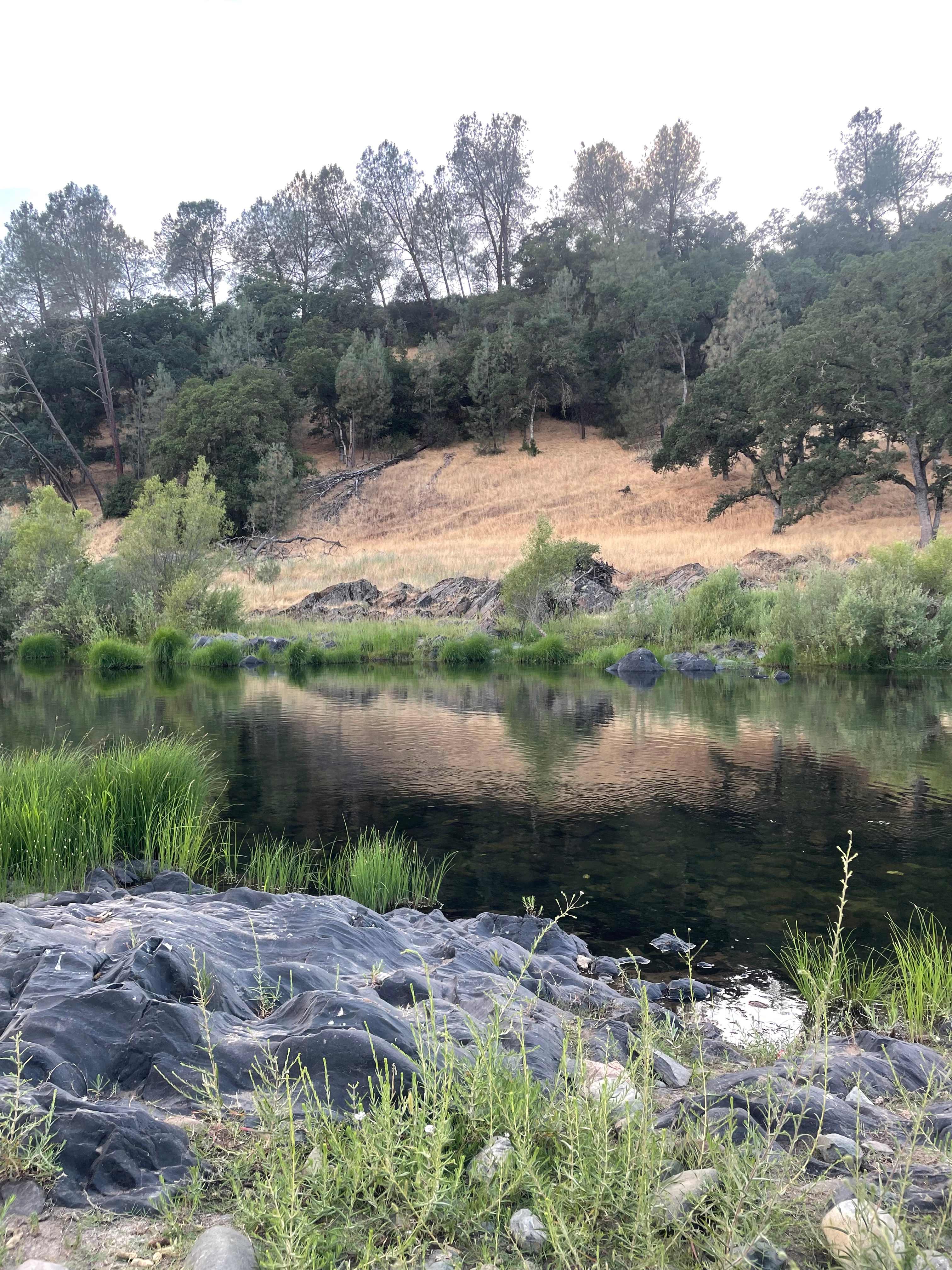 Cosumnes River Ranch