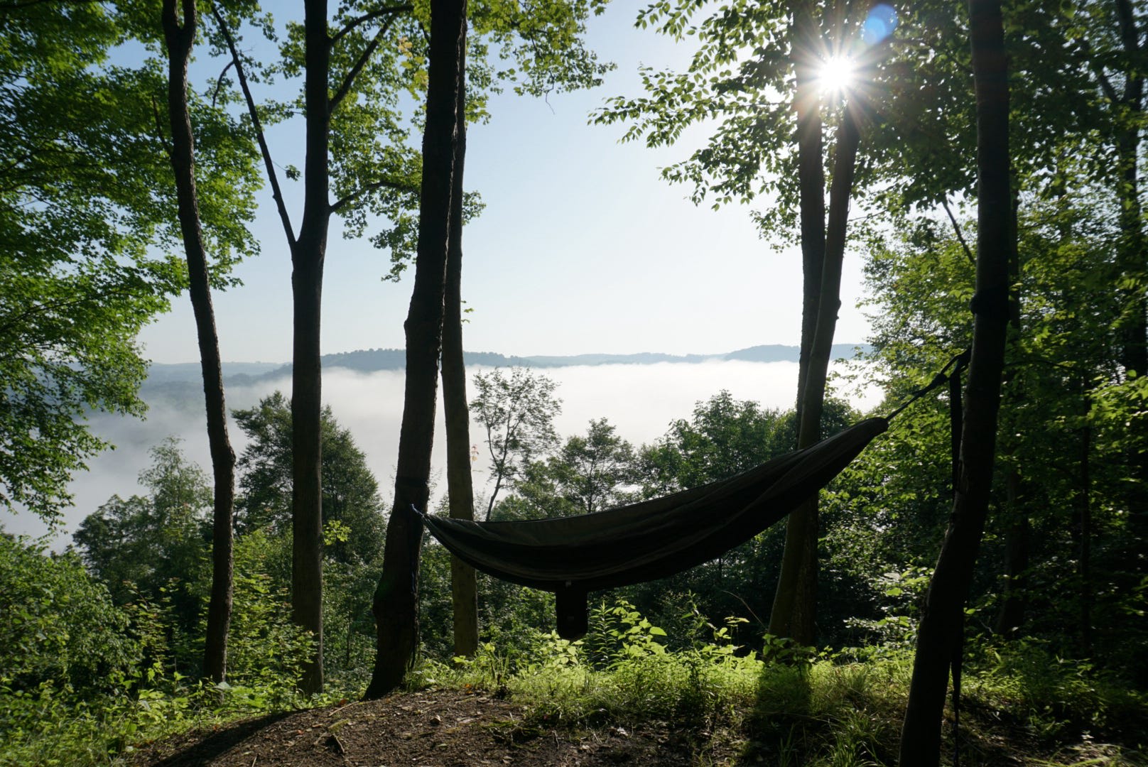 River Hills Above the Allegheny