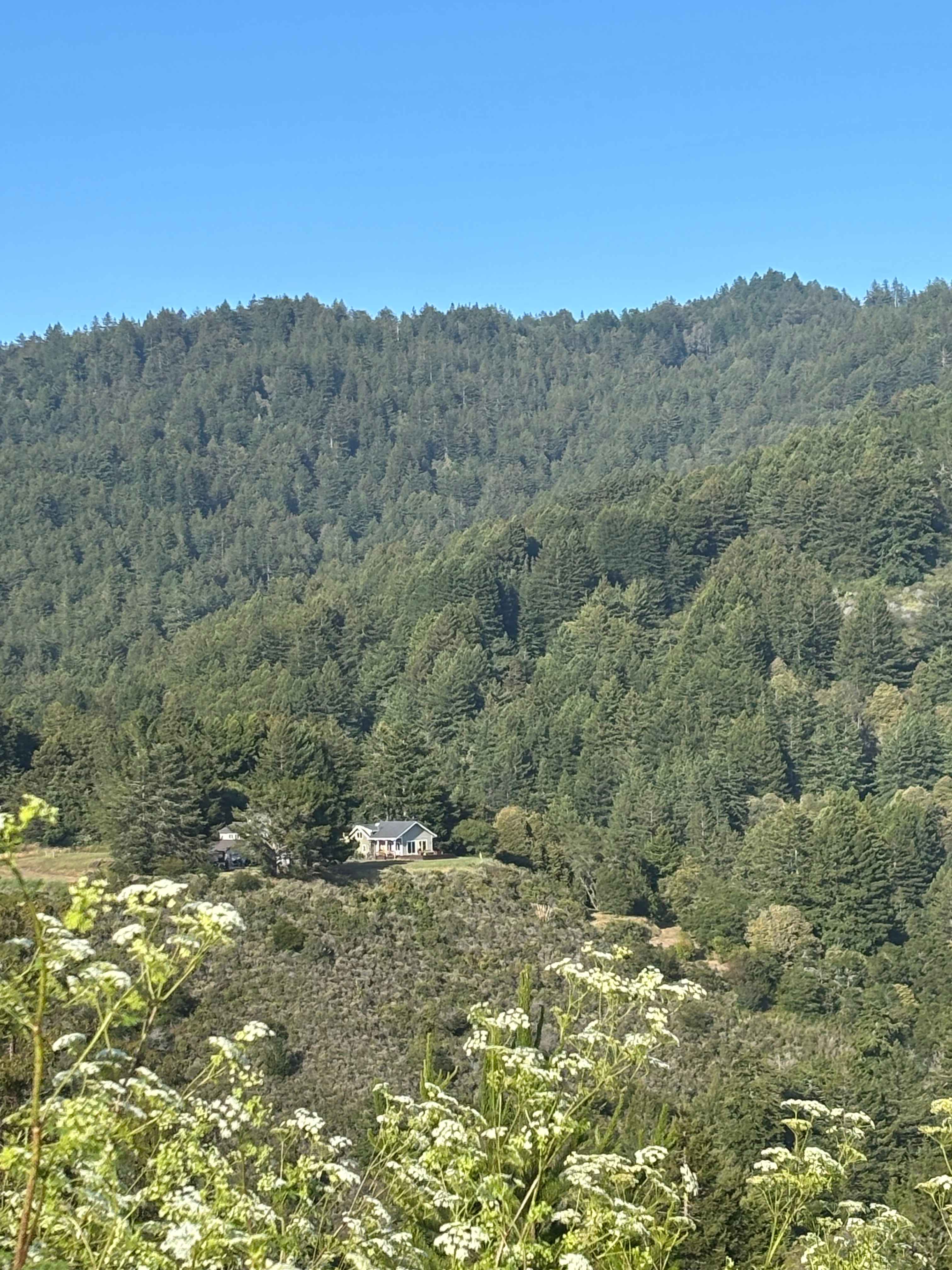 The view from Lobitos Creek