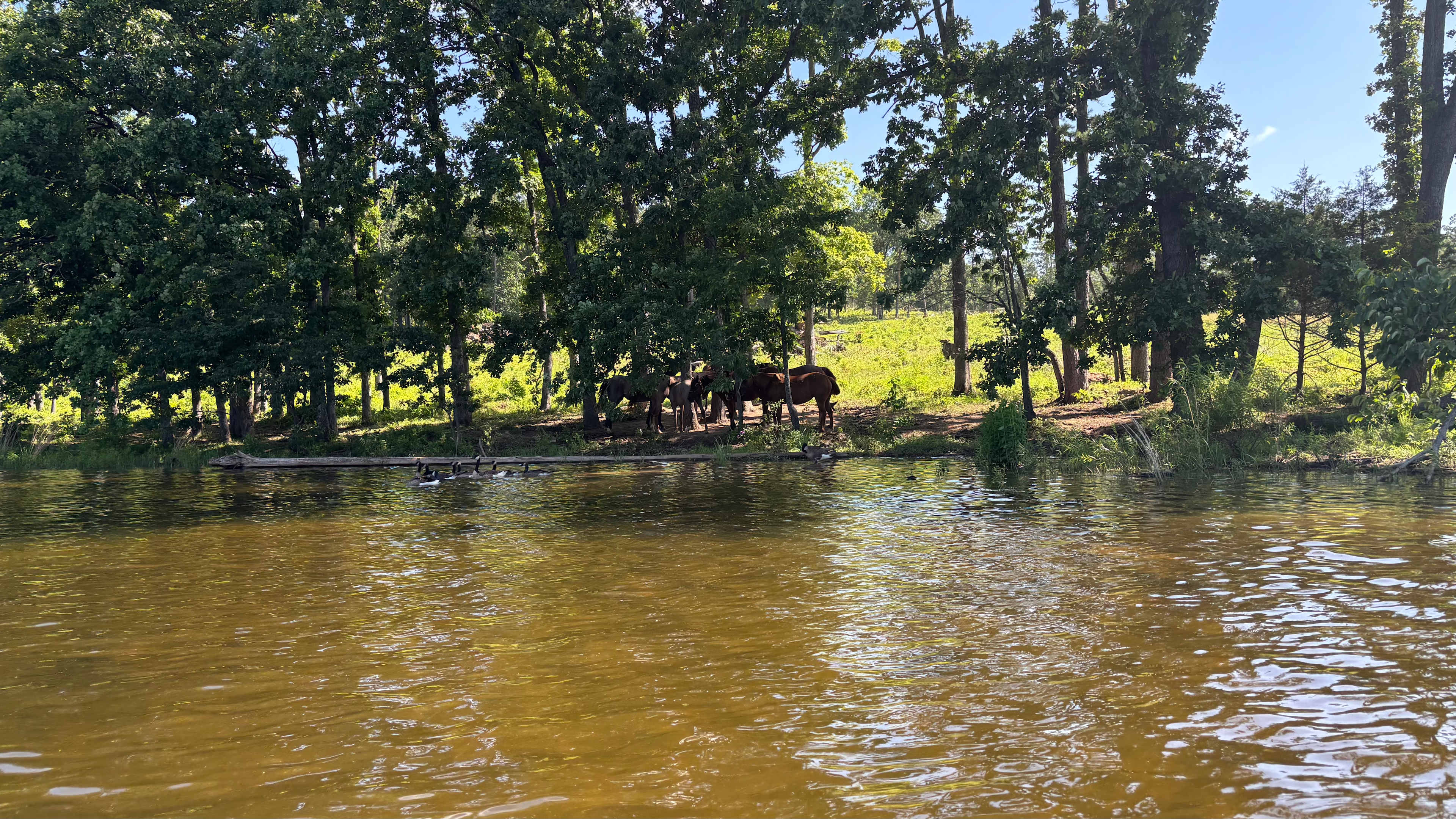 Spring Lake Ranch