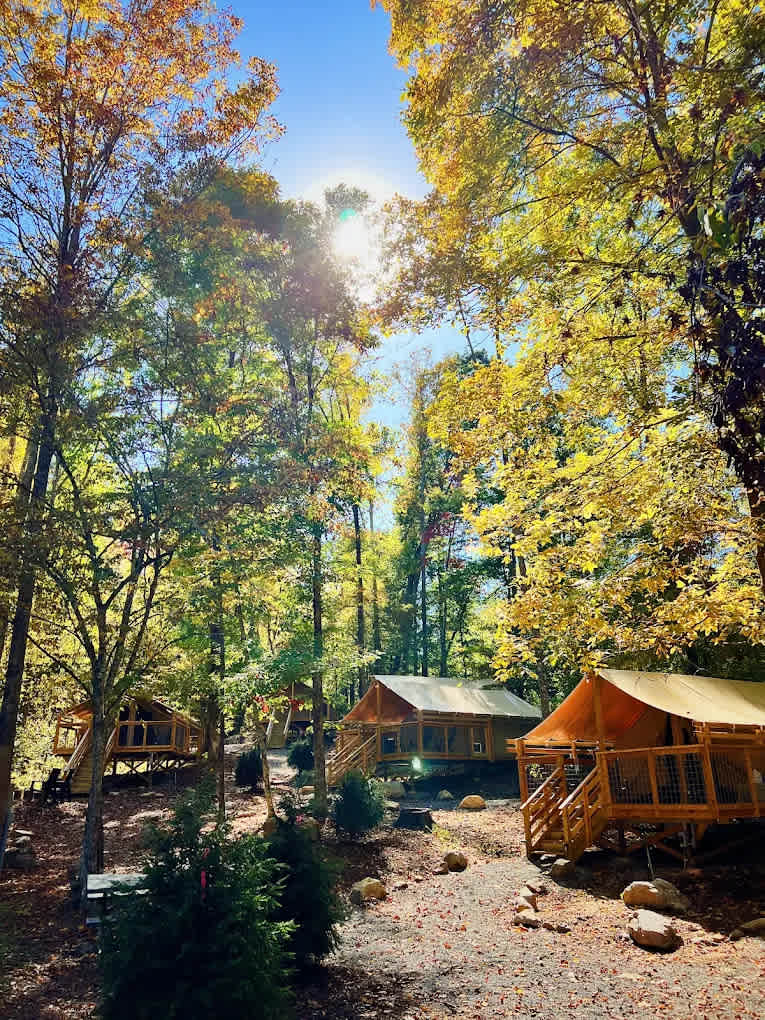 Wilderness Cove Campground