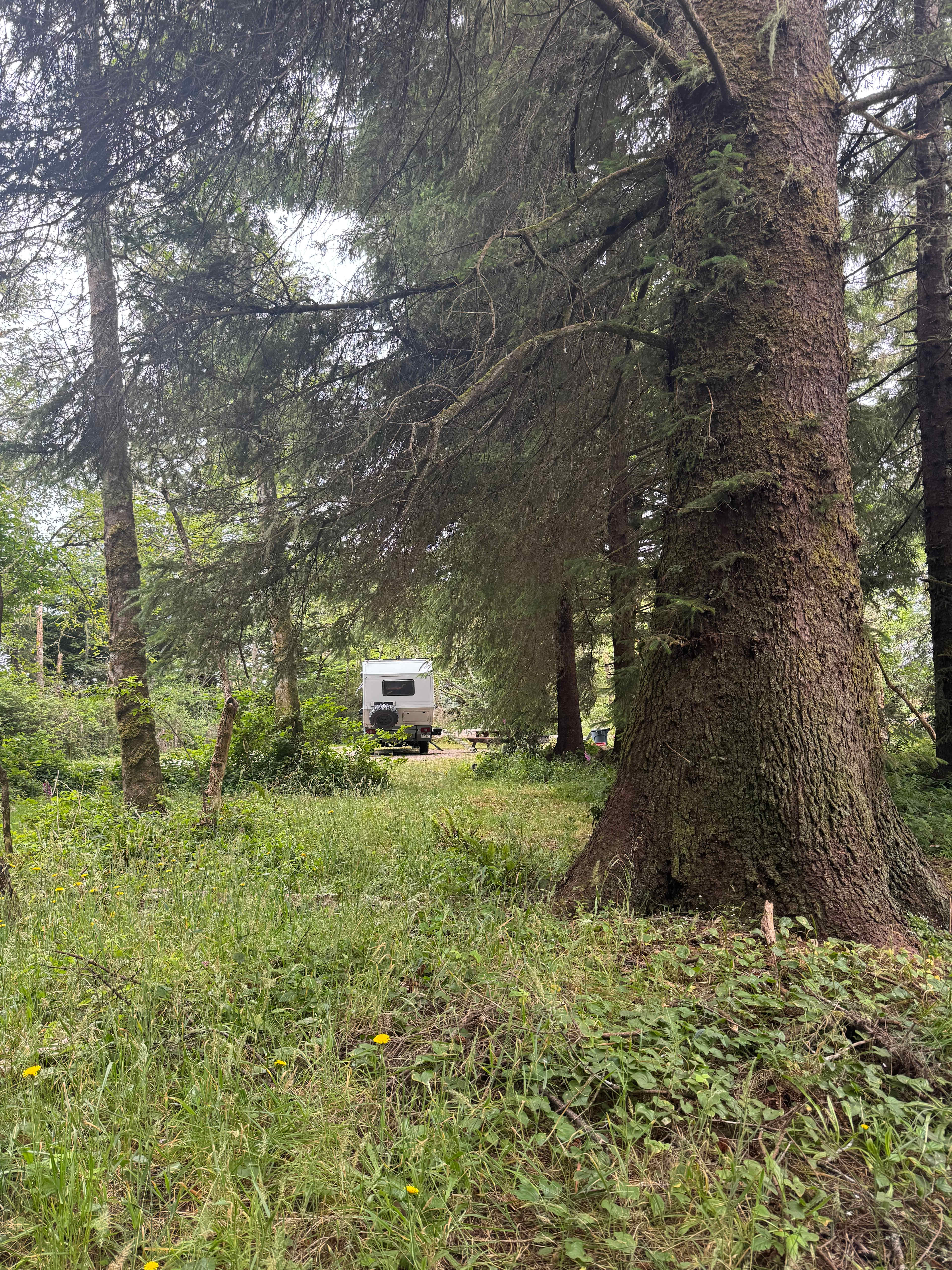Coastal Forest Farm Camp