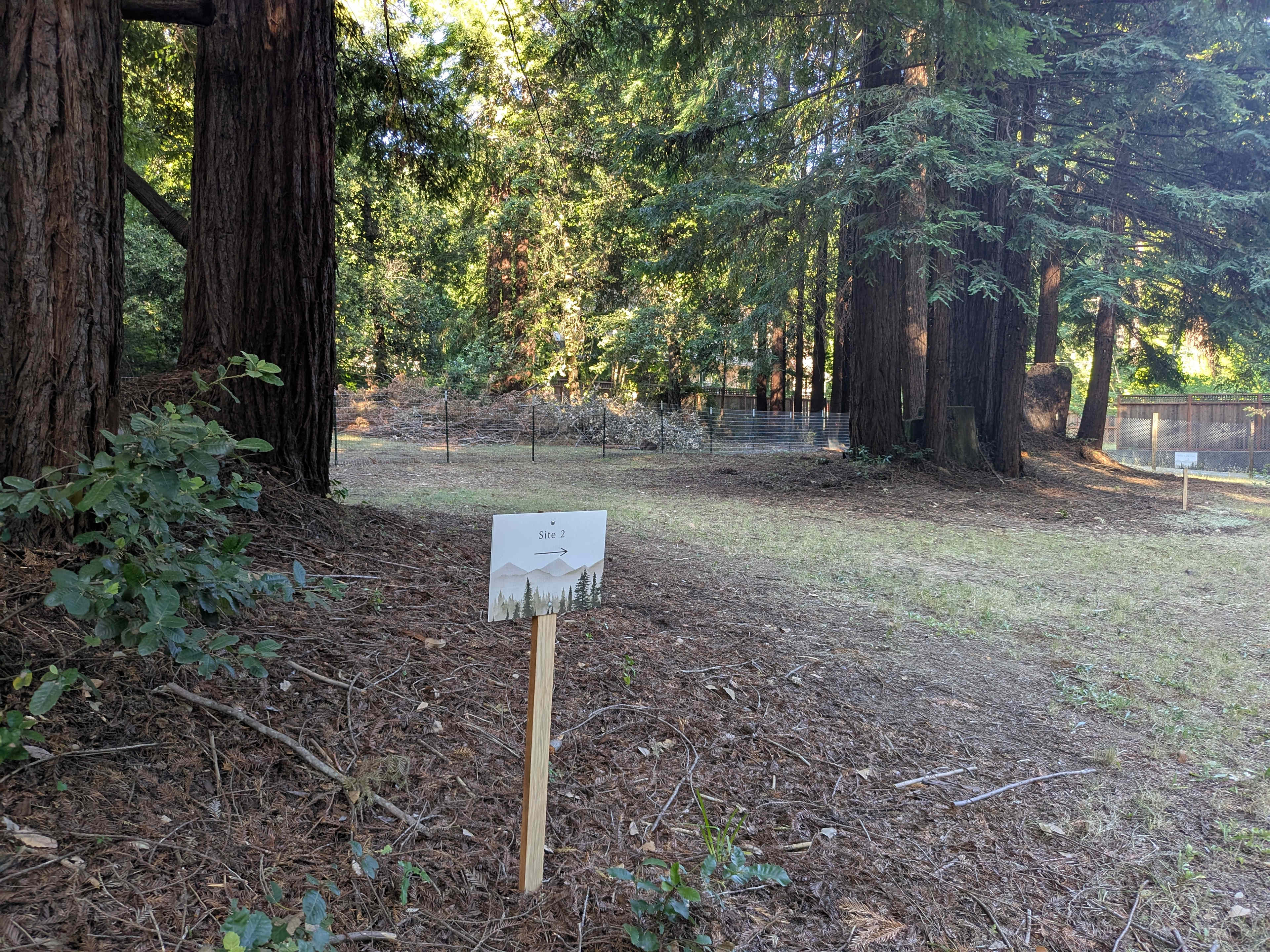 site 2