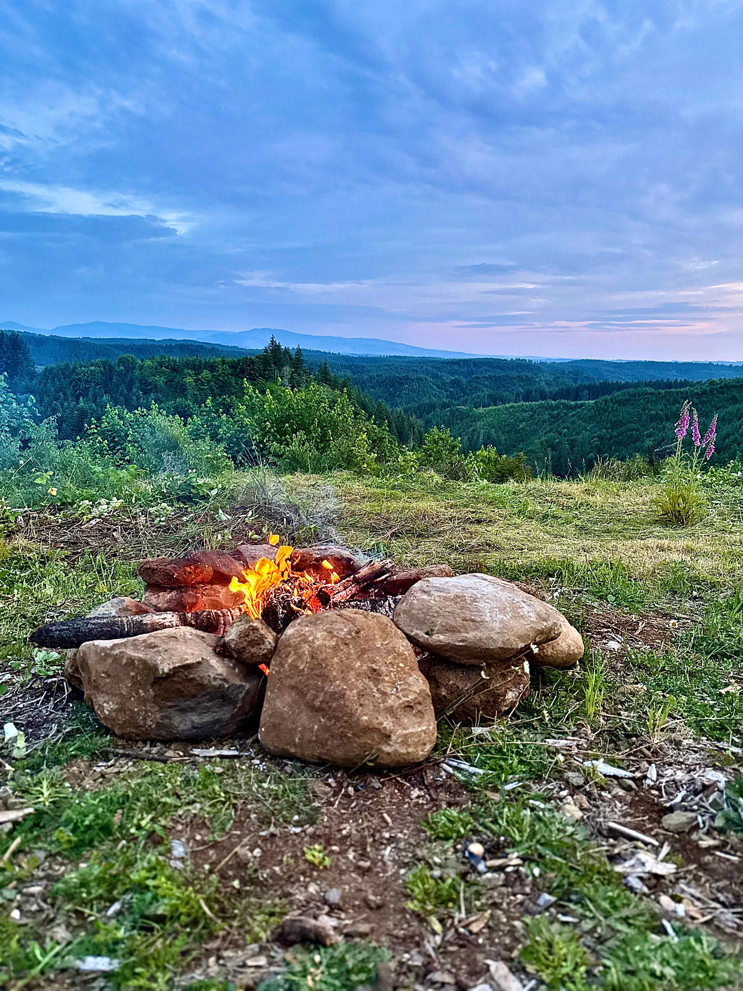 Vista View Ranch