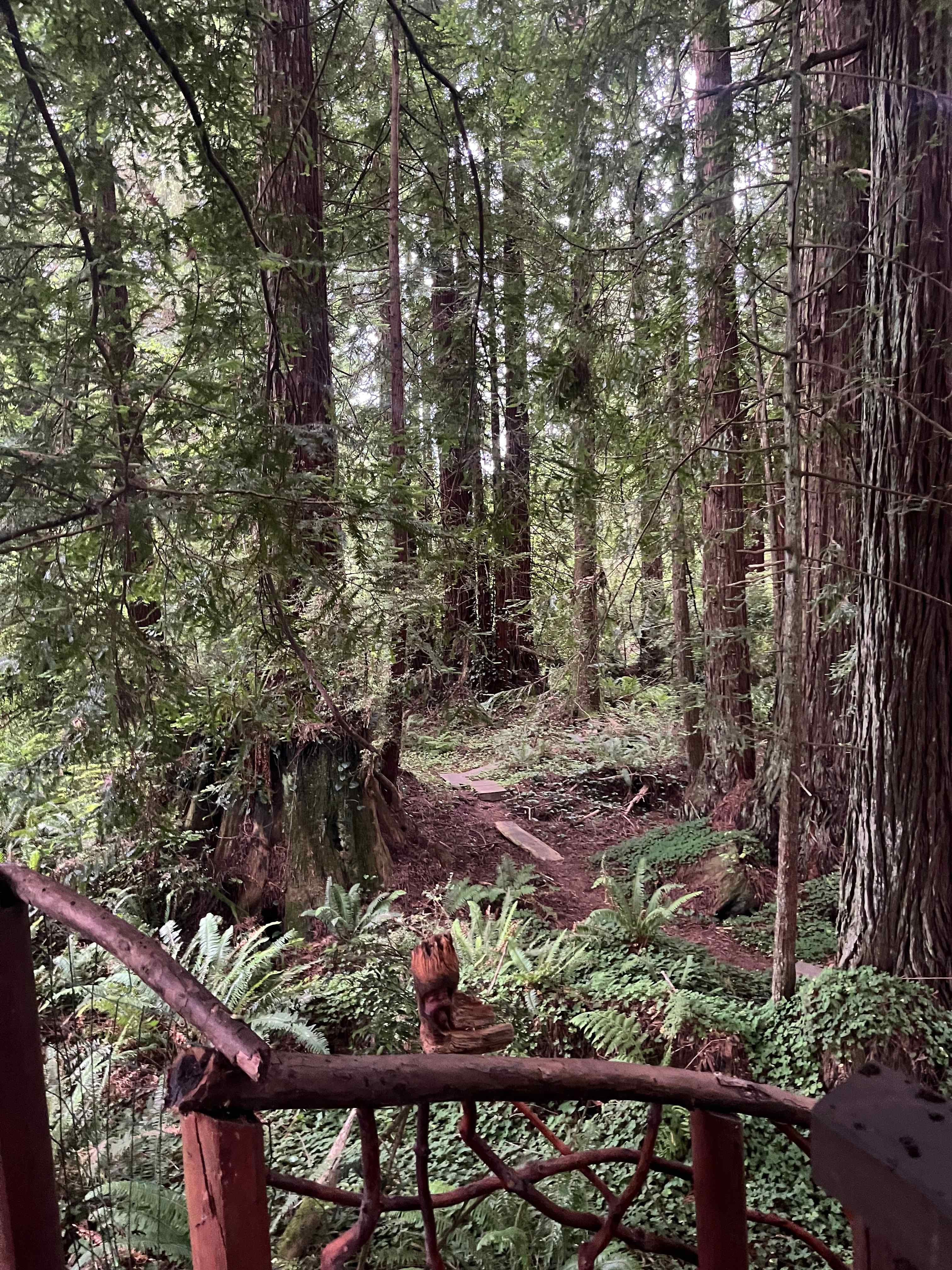 Redwood Retreat
