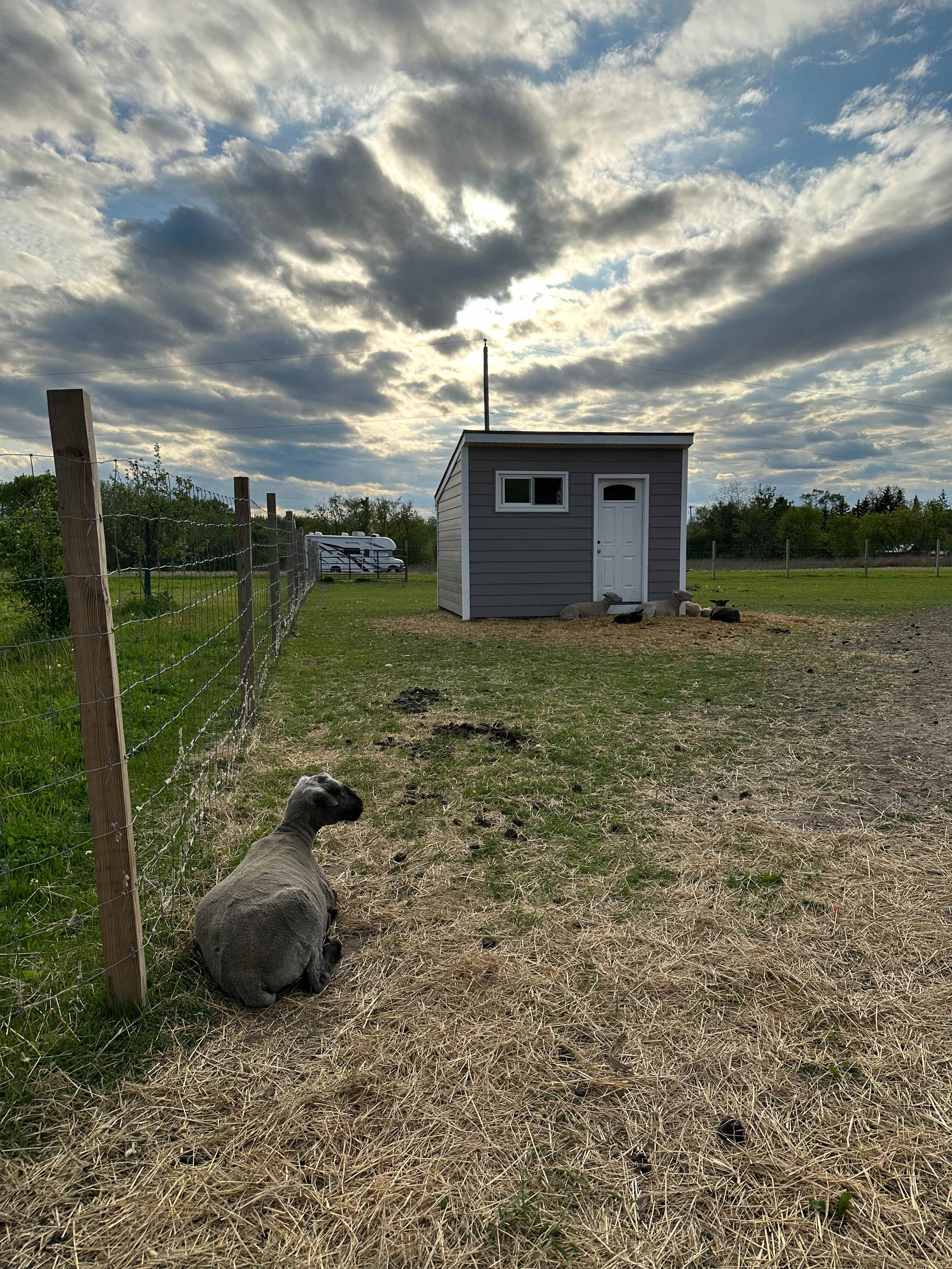 Mayville Farm