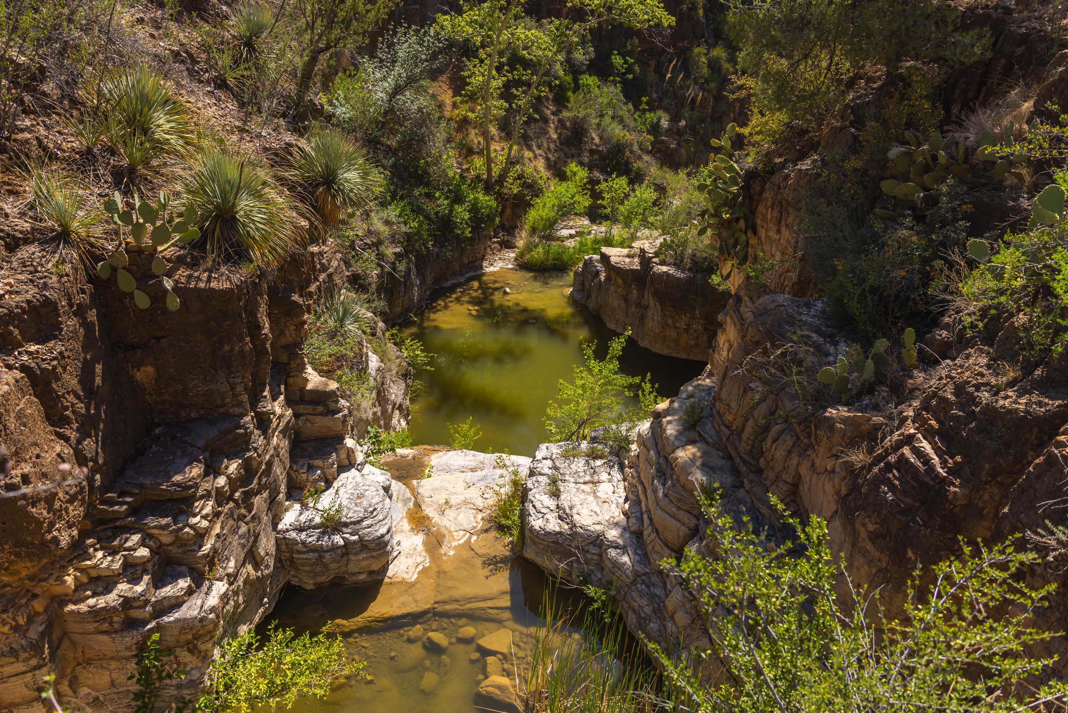 Swimming holes from the cliff above