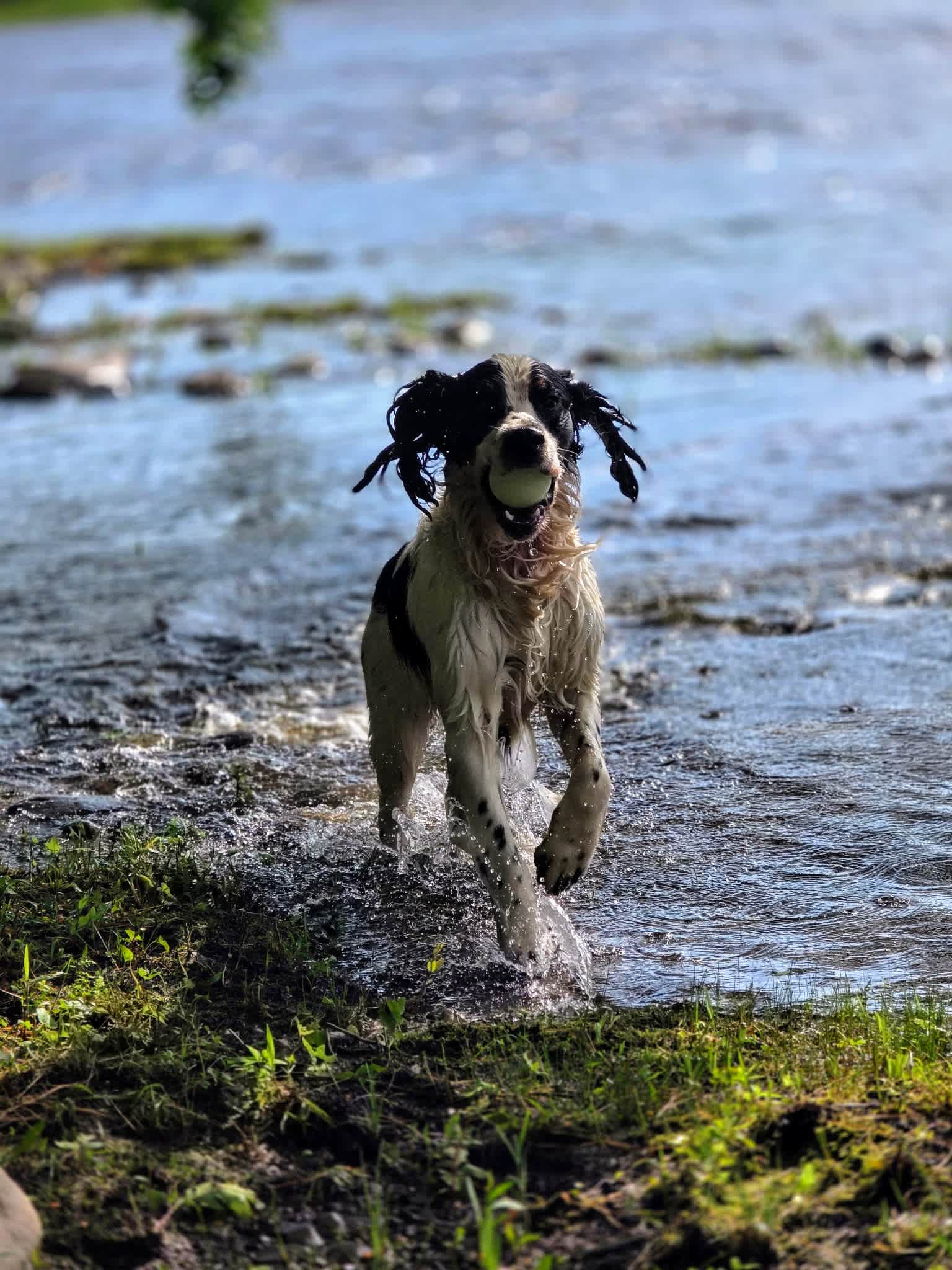 You'll never catch me! 