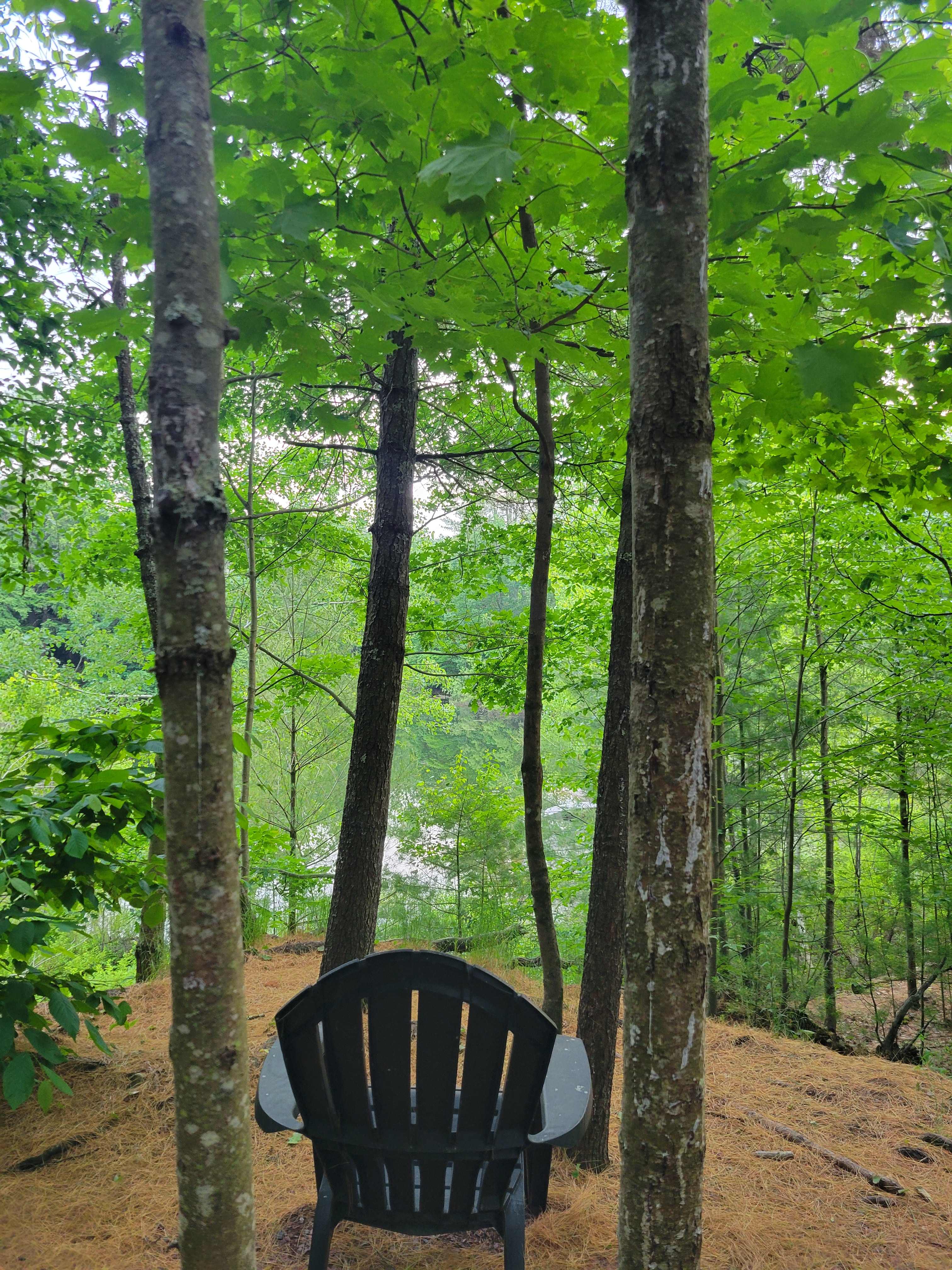 Endless Grove