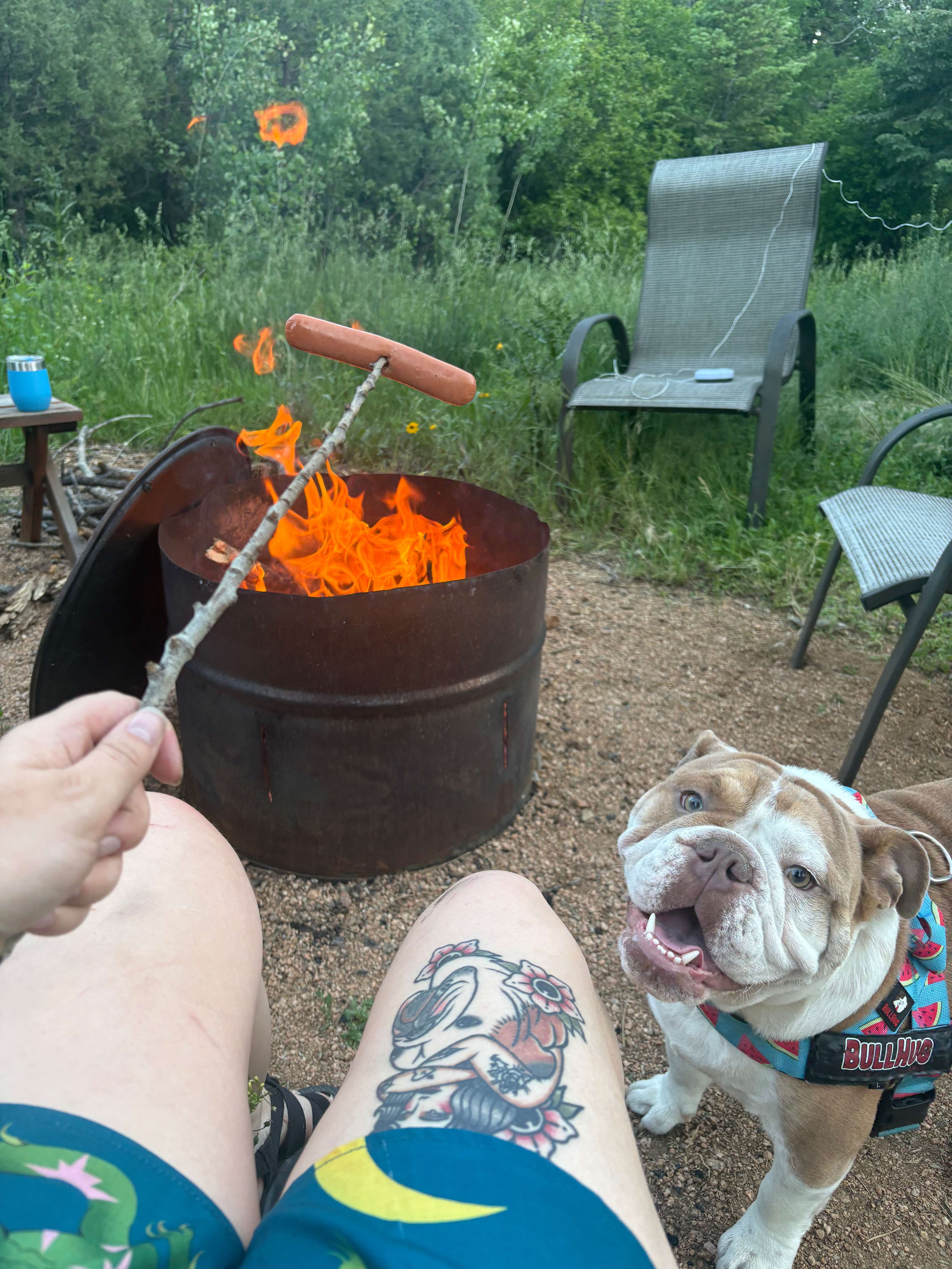 Little Scraggy Camp