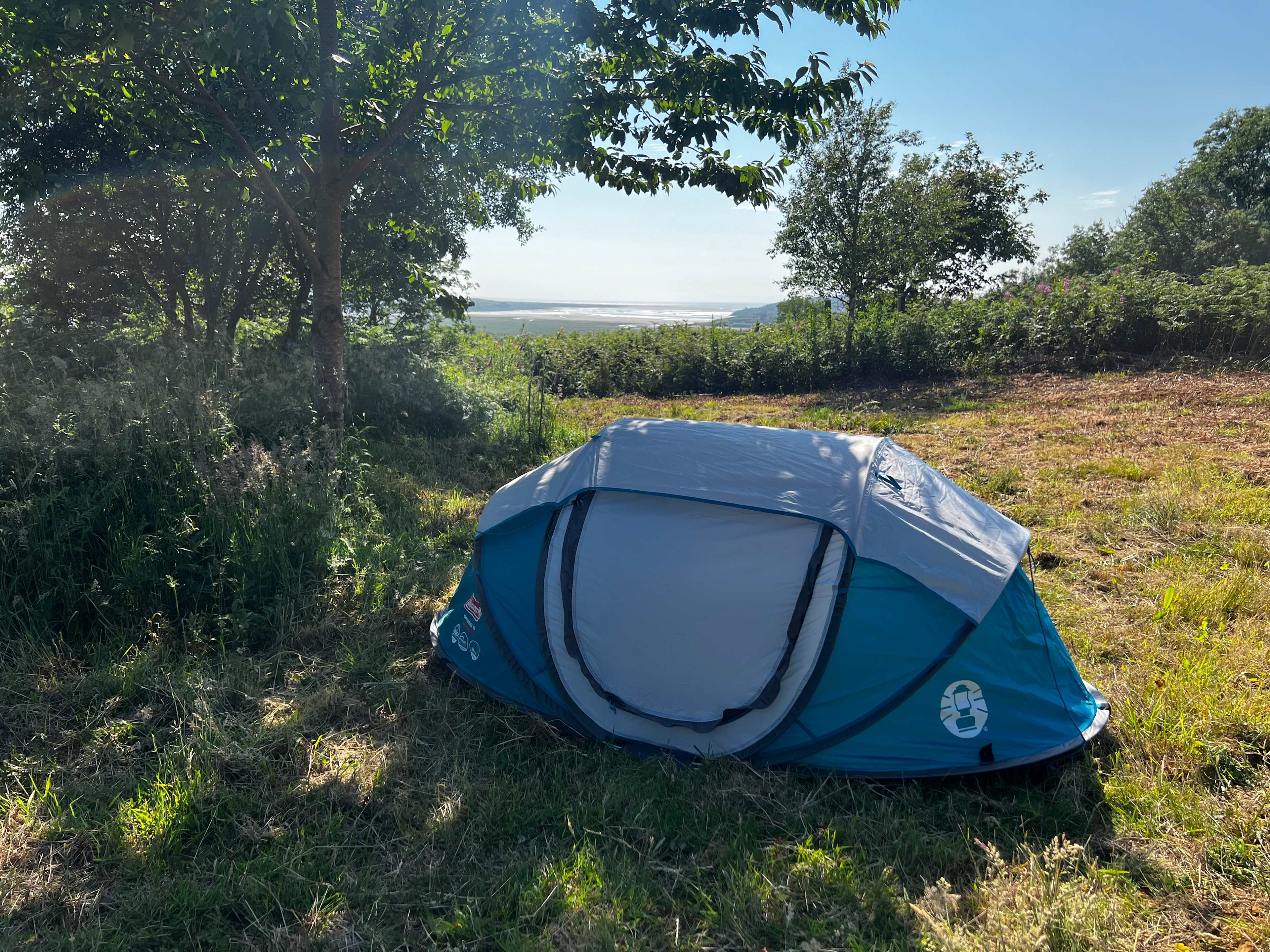 There are 4 large flat areas with views for large or small tents. Shaded by the cherry tree, this camping spot is ideal in a heat wave. 