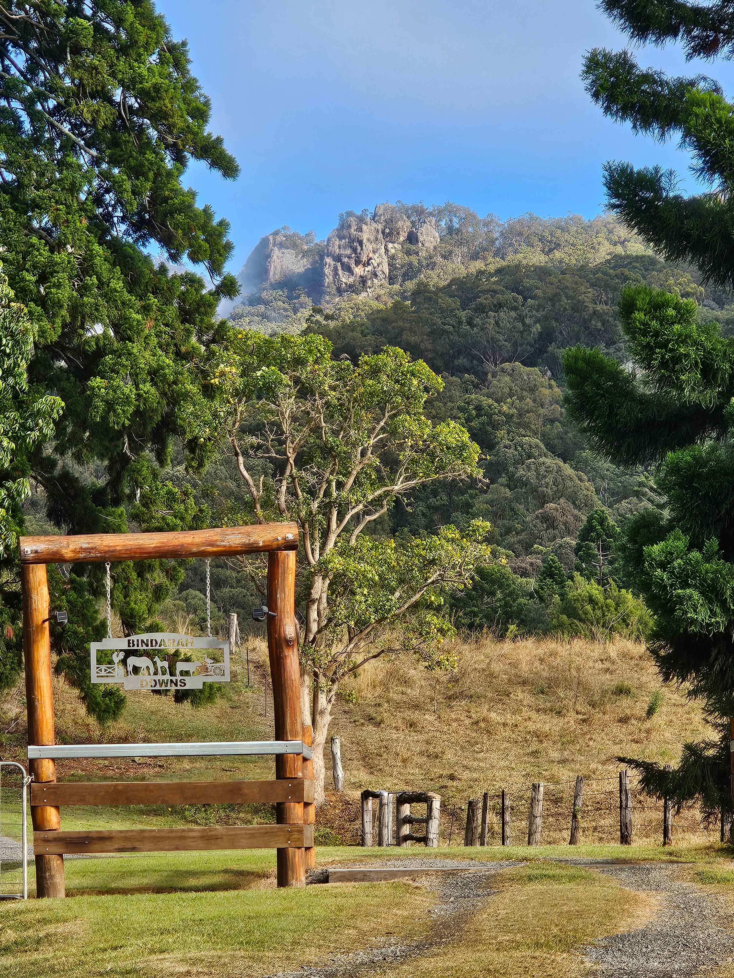 Bindarah Downs