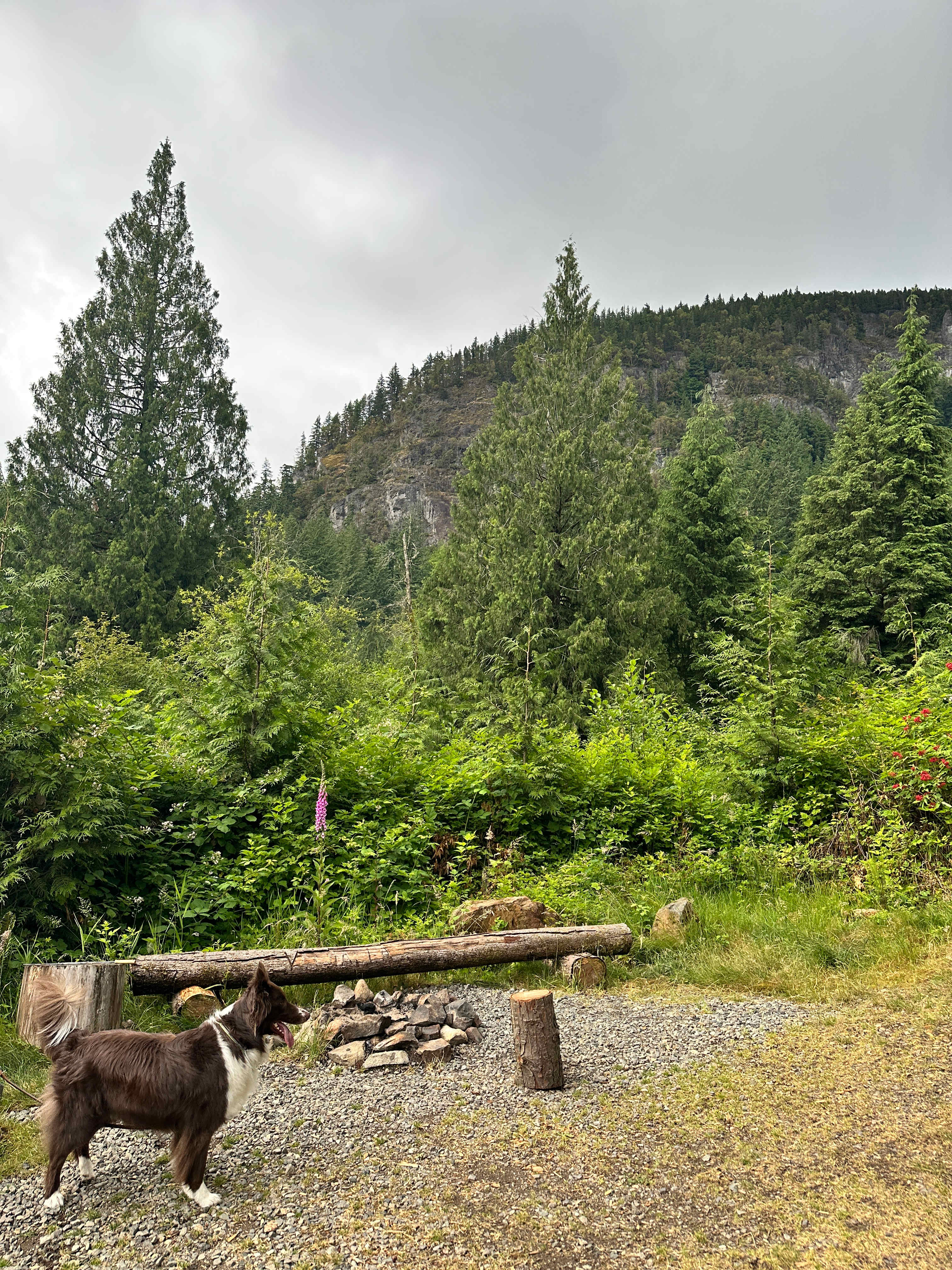 Valhalla Tree Farm