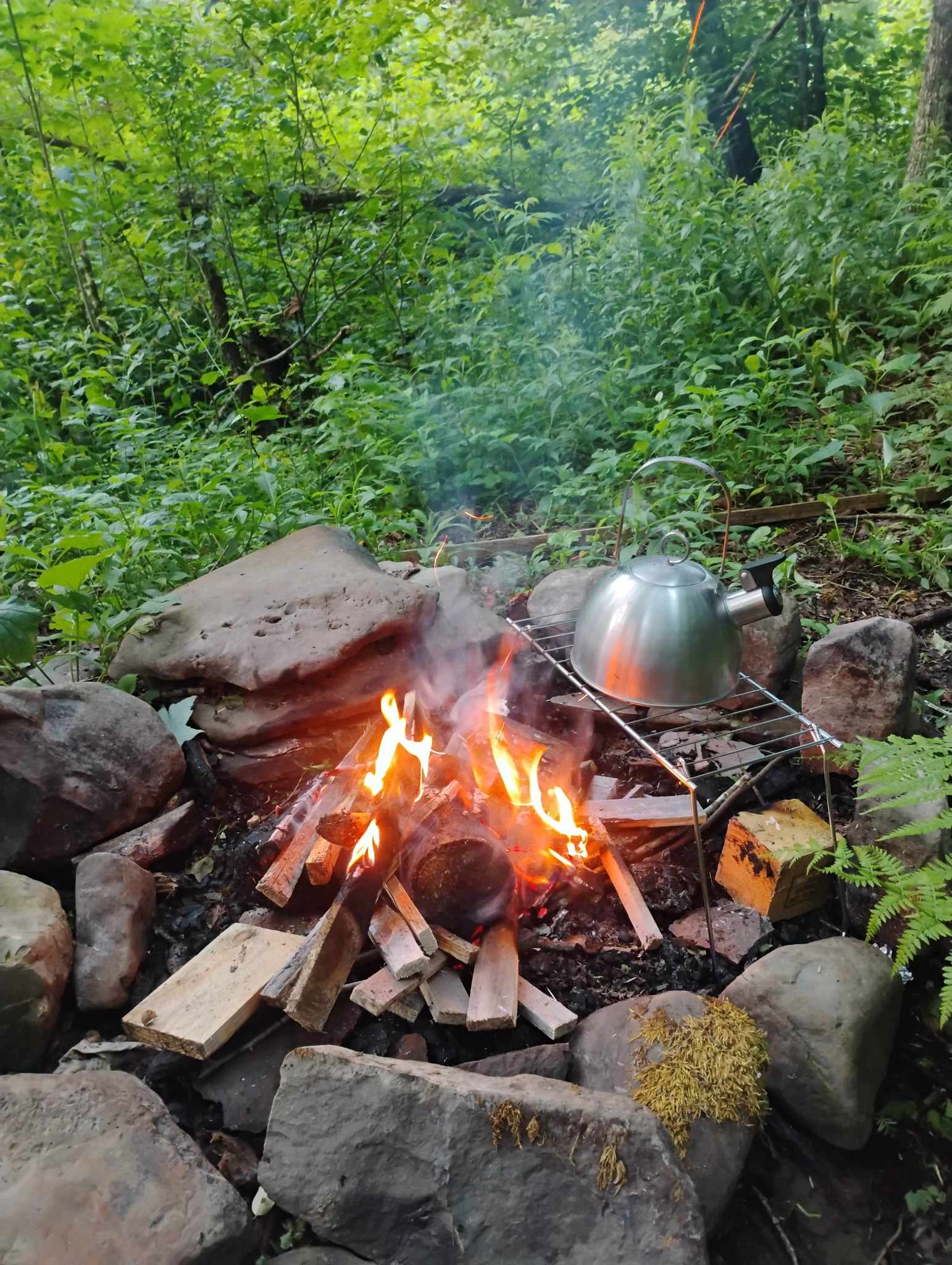 Picture of the site