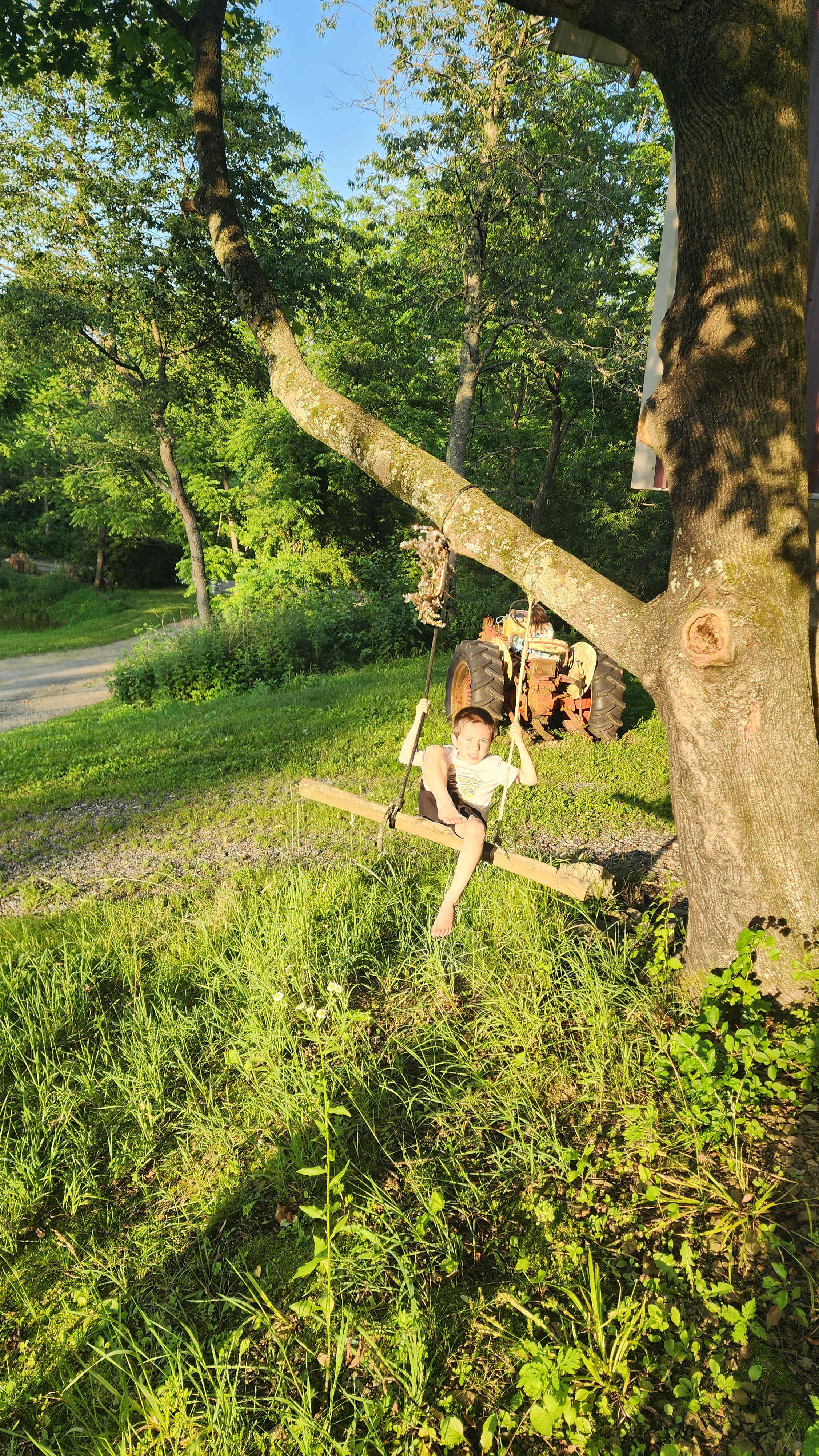 Swing outside the barn