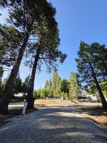 Cook's Station Campground