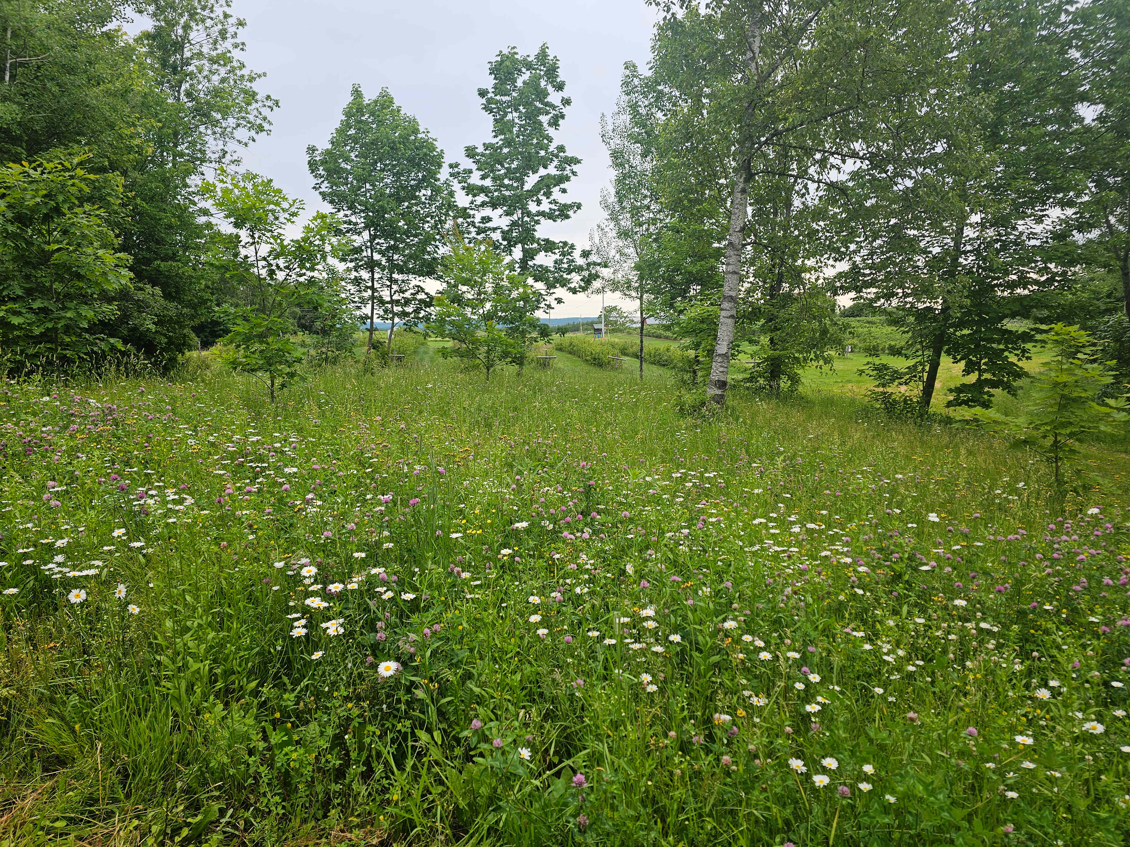Sunnyside Family Farm Camping