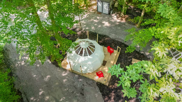 The Firefly Nest