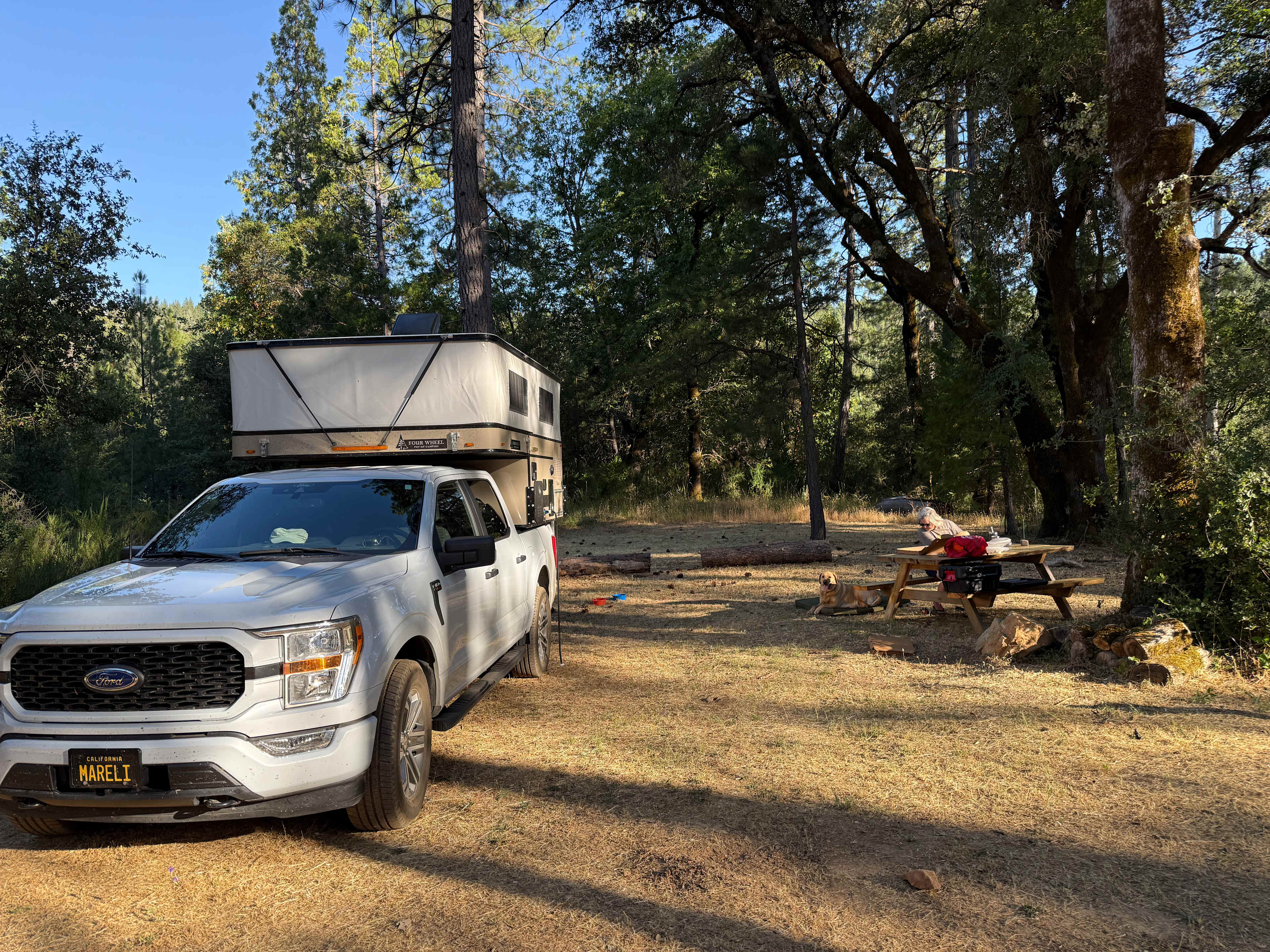 A bit of heaven amongst the trees...