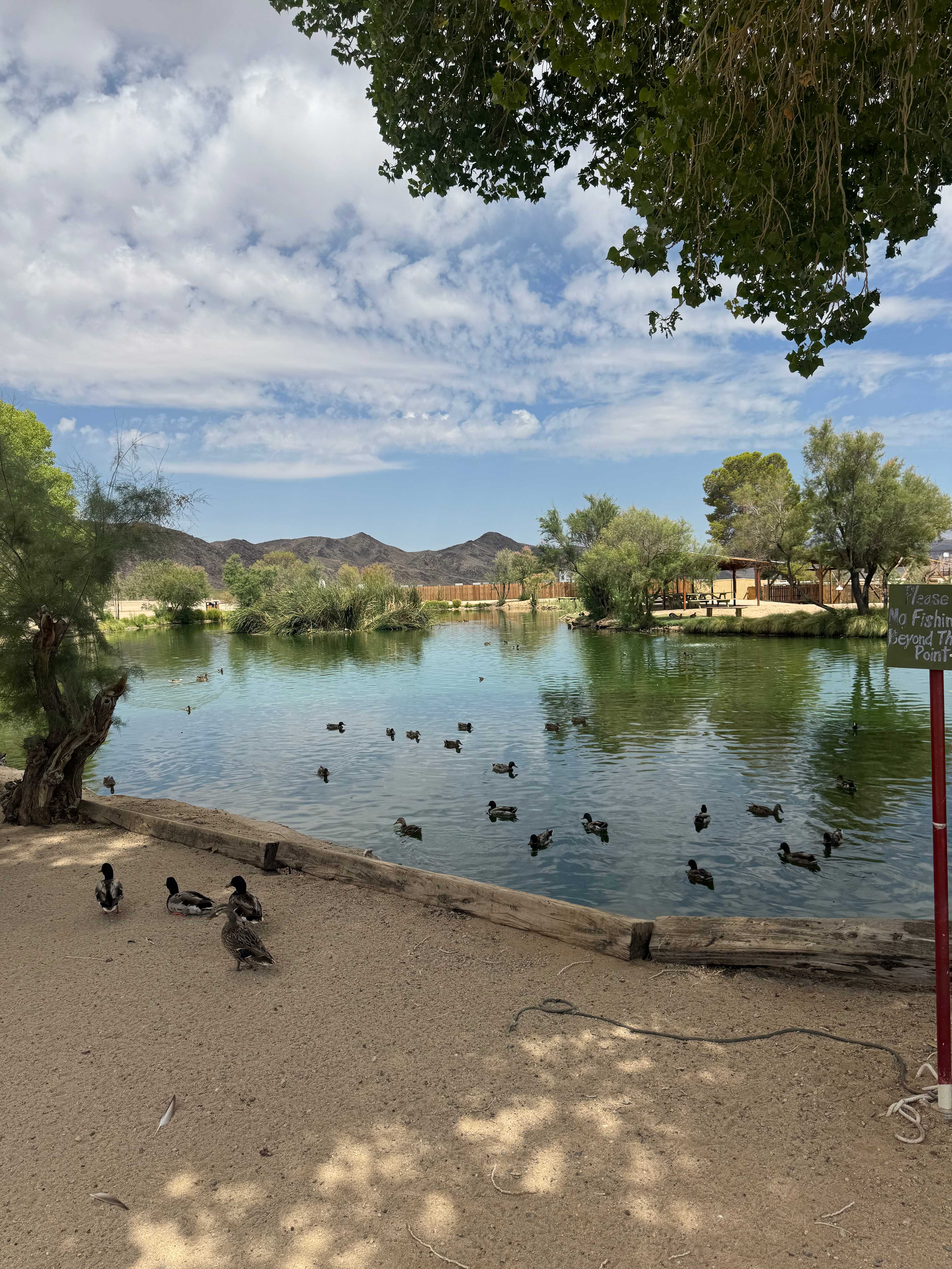 Joshua Tree Lake RV & Campground
