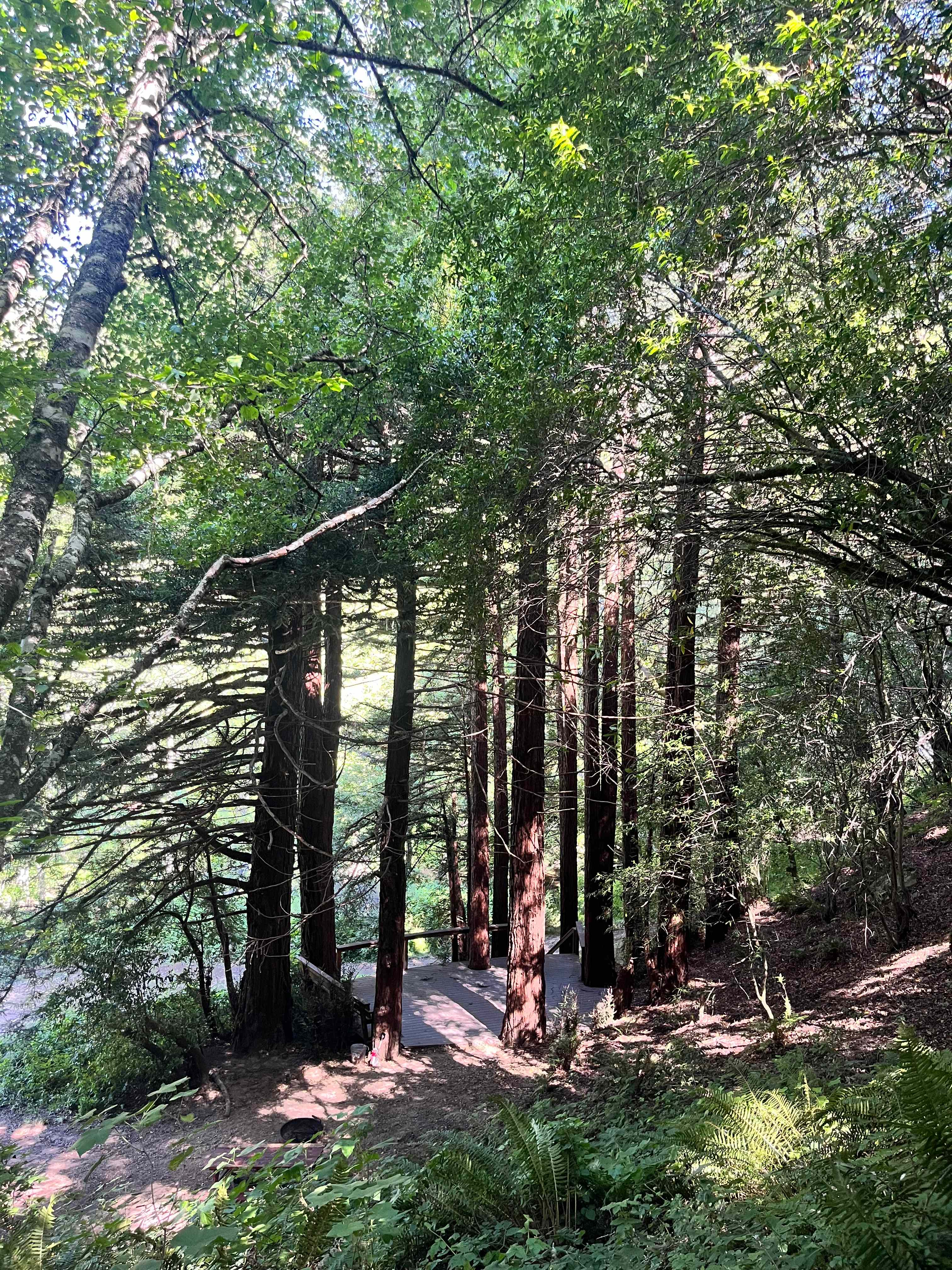 Salmon Creek Ranch